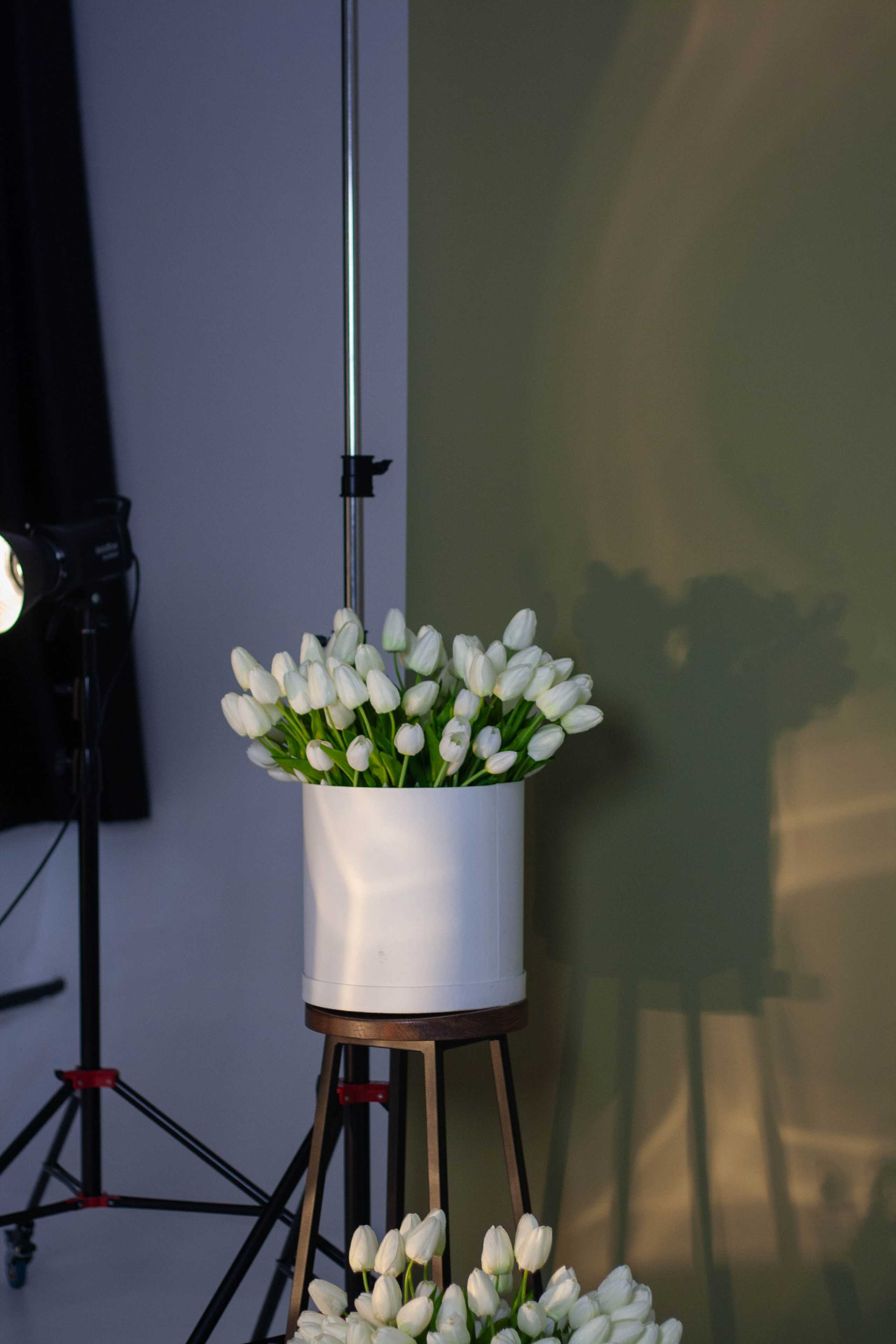 Сияй, как звездочка✨. Портретный фотограф в Саратове