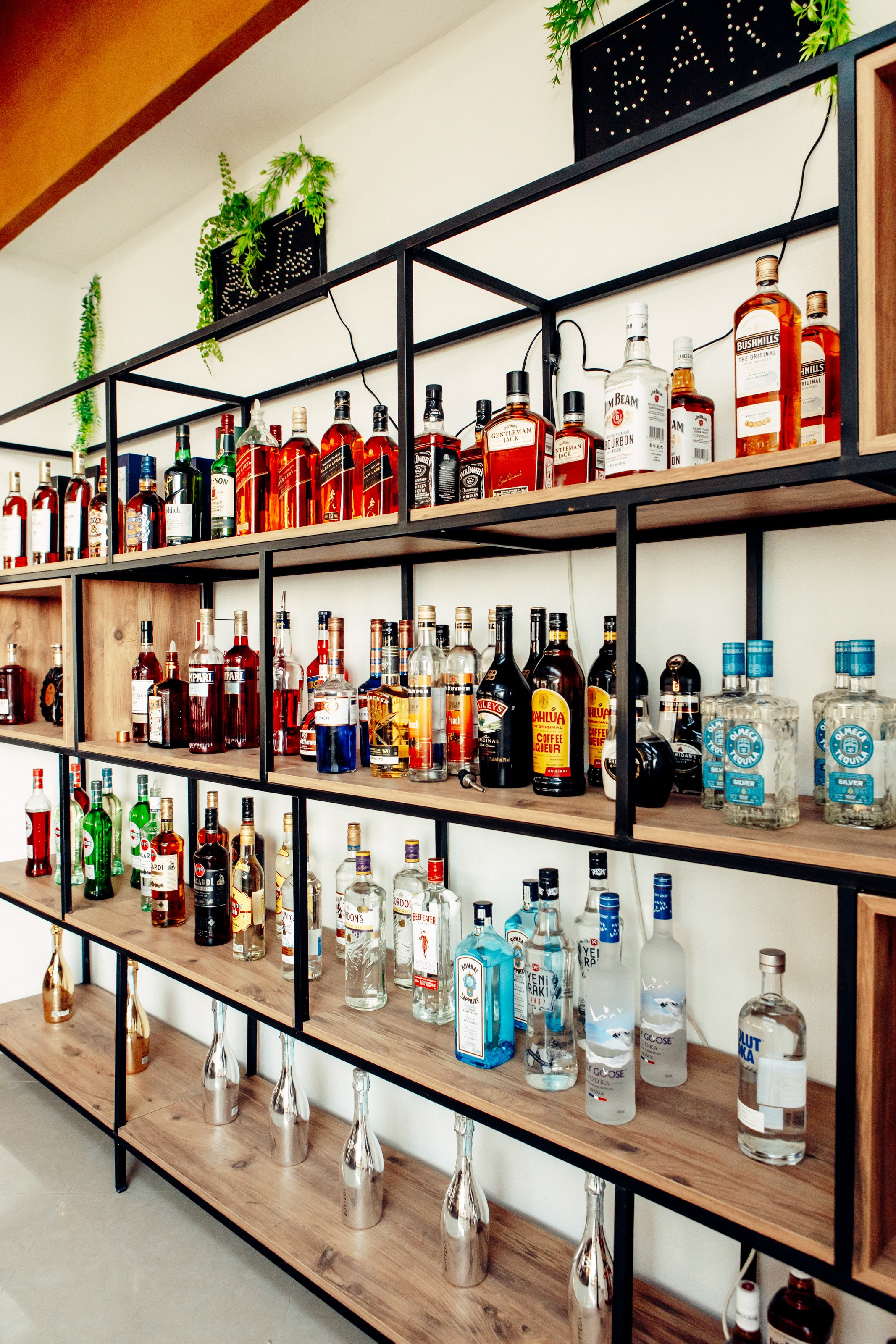 Orlando Starlux. Photographer in Batumi, Georgia Pavel Sharnikov