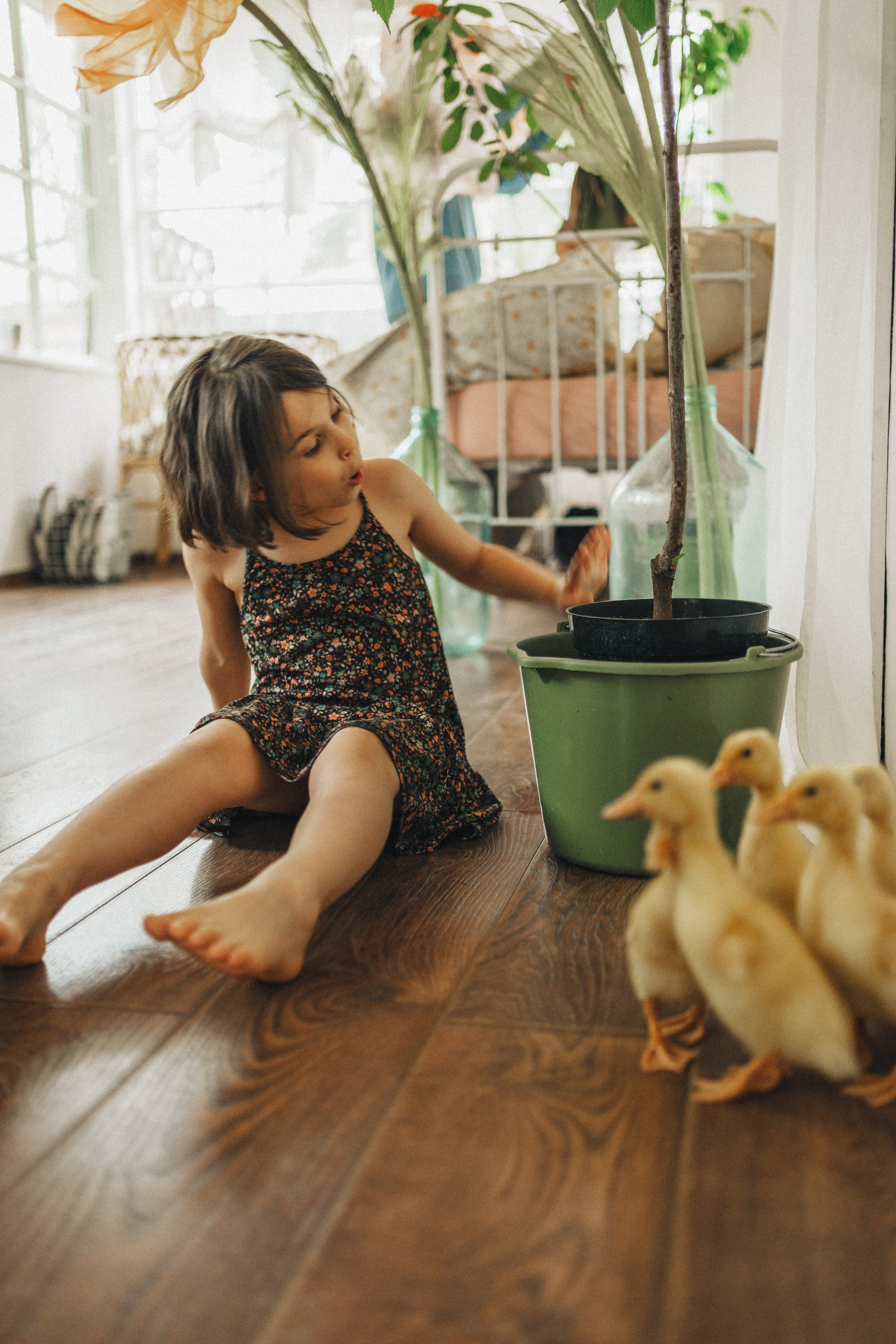 Детки & утятки на Green dacha. Семейный и детский фотограф и видеограф в Москве, Серпухове и Тарусе Валерия Сорокина