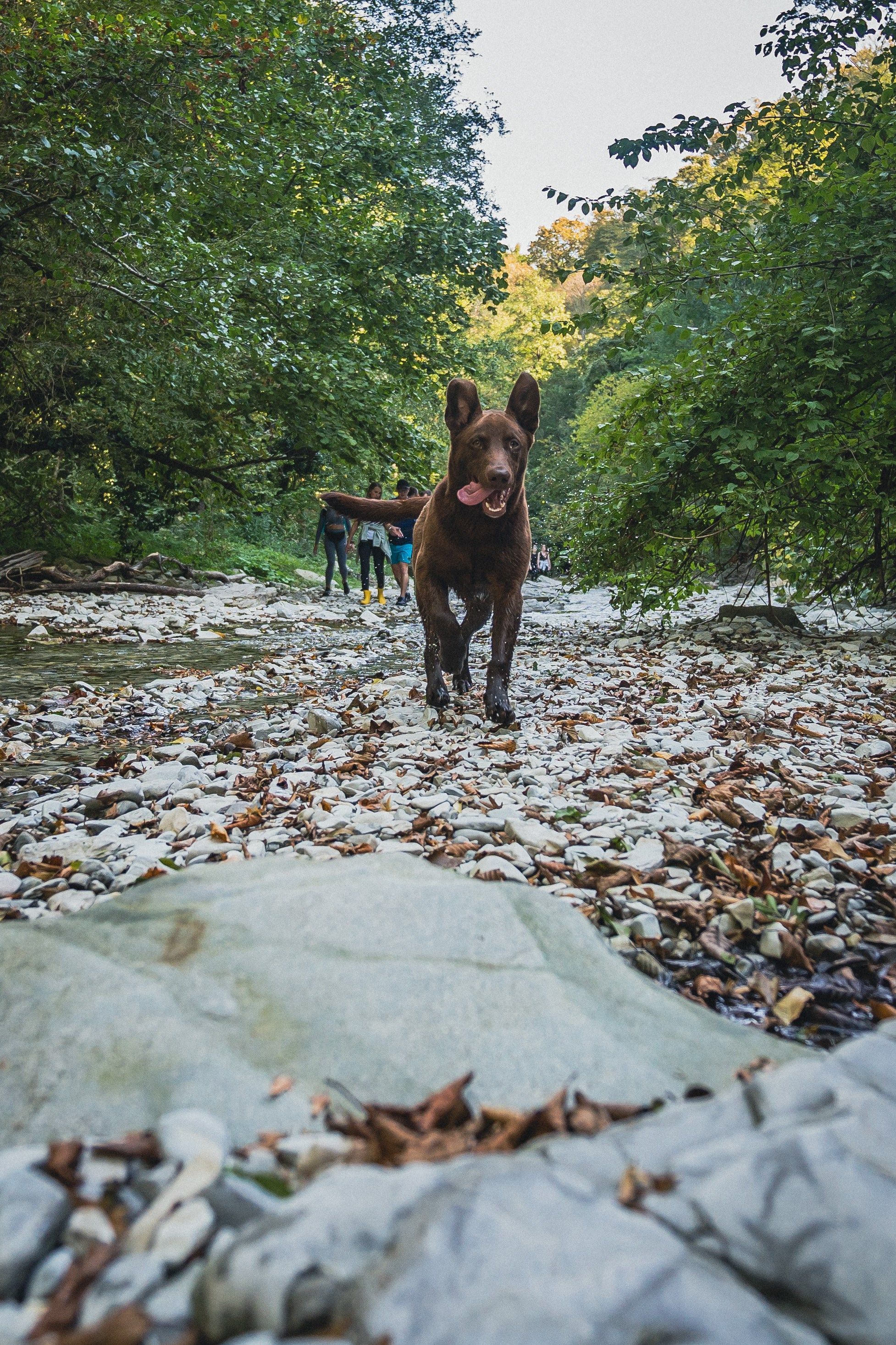 Поход на Полковничьи водопады АСК 26.09.23. Репортажный фотограф в Краснодаре Рындин Дмитрий