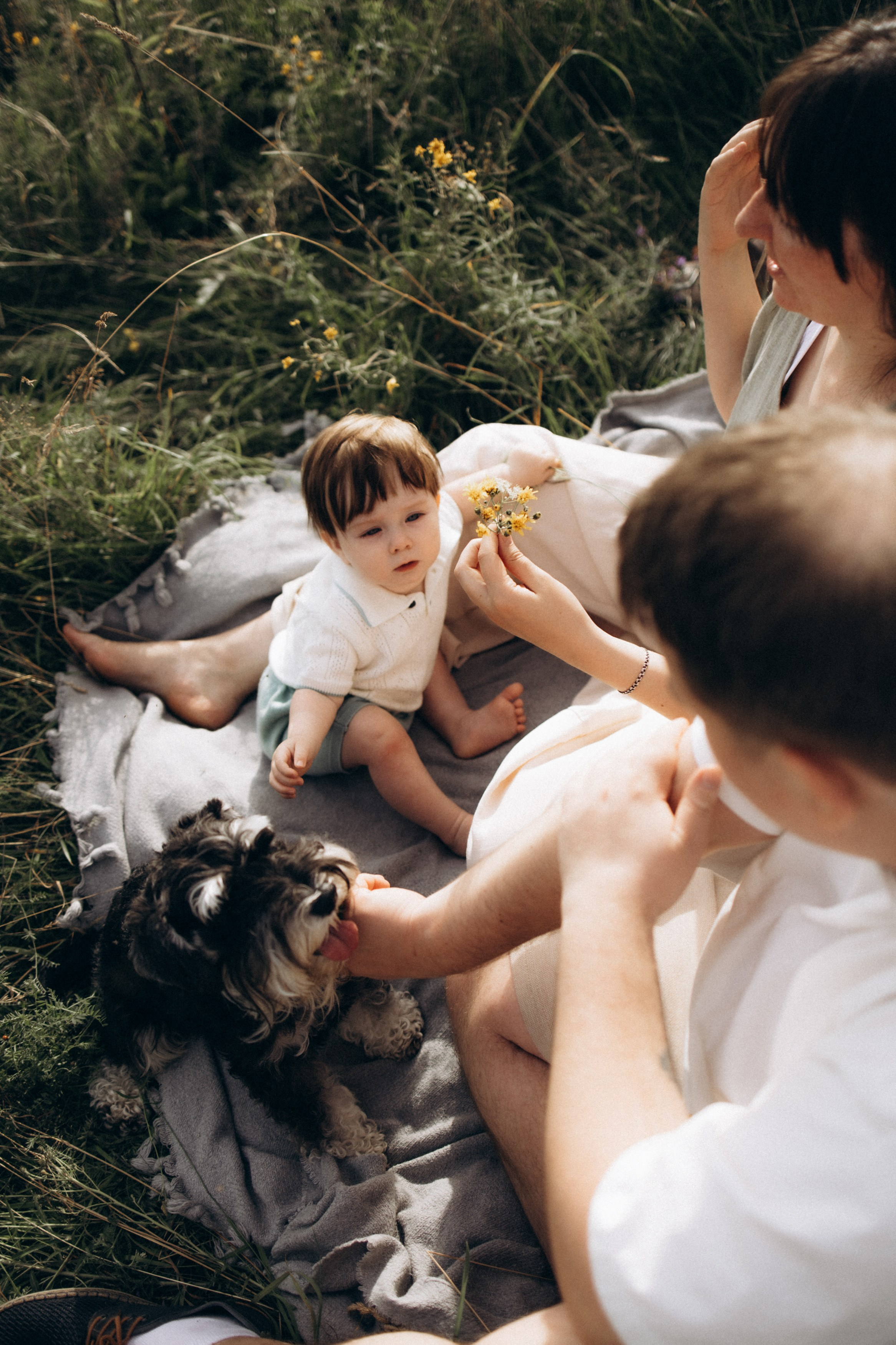 Годик в поле. Свадебный и семейный ньюборн newborn фотограф, фотограф новорождённых в Санкт-Петербурге, Пушкине, Павловске. Павлова Анастасия