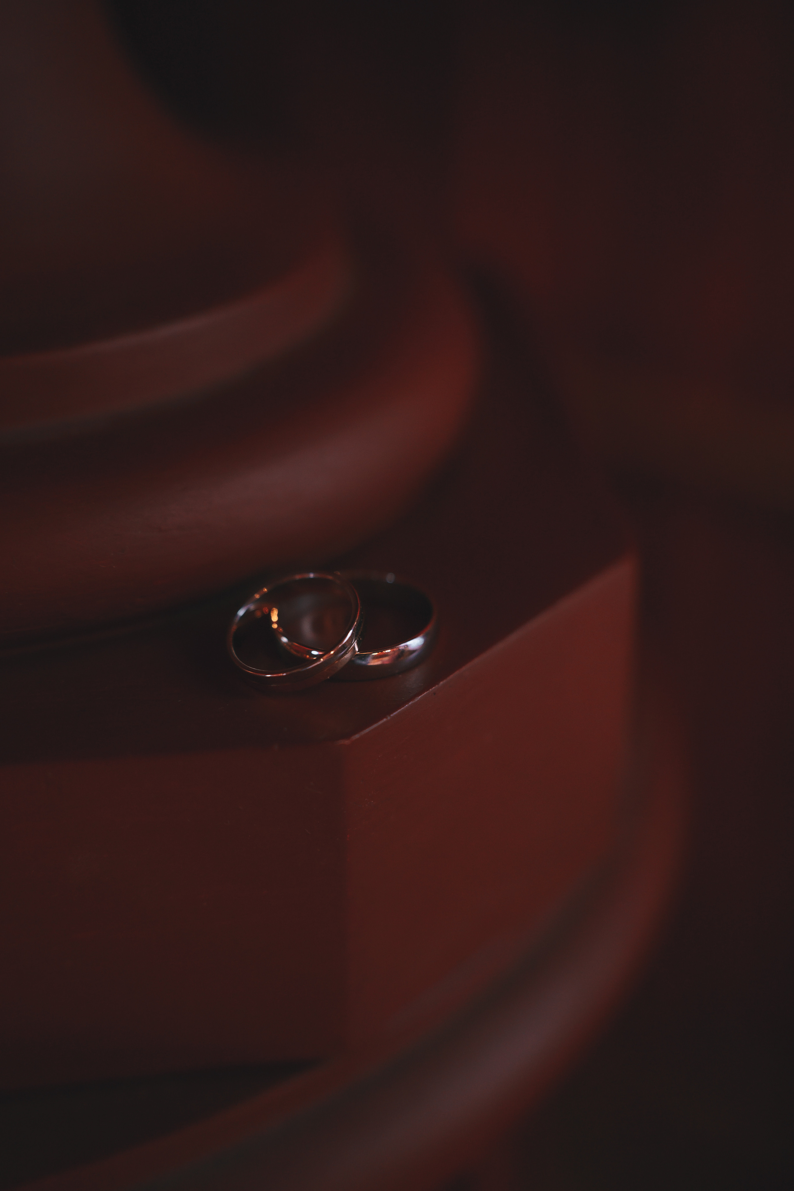 Фотографии со свадьбы. Детская, семейная фотостудия в Санкт-Петербурге