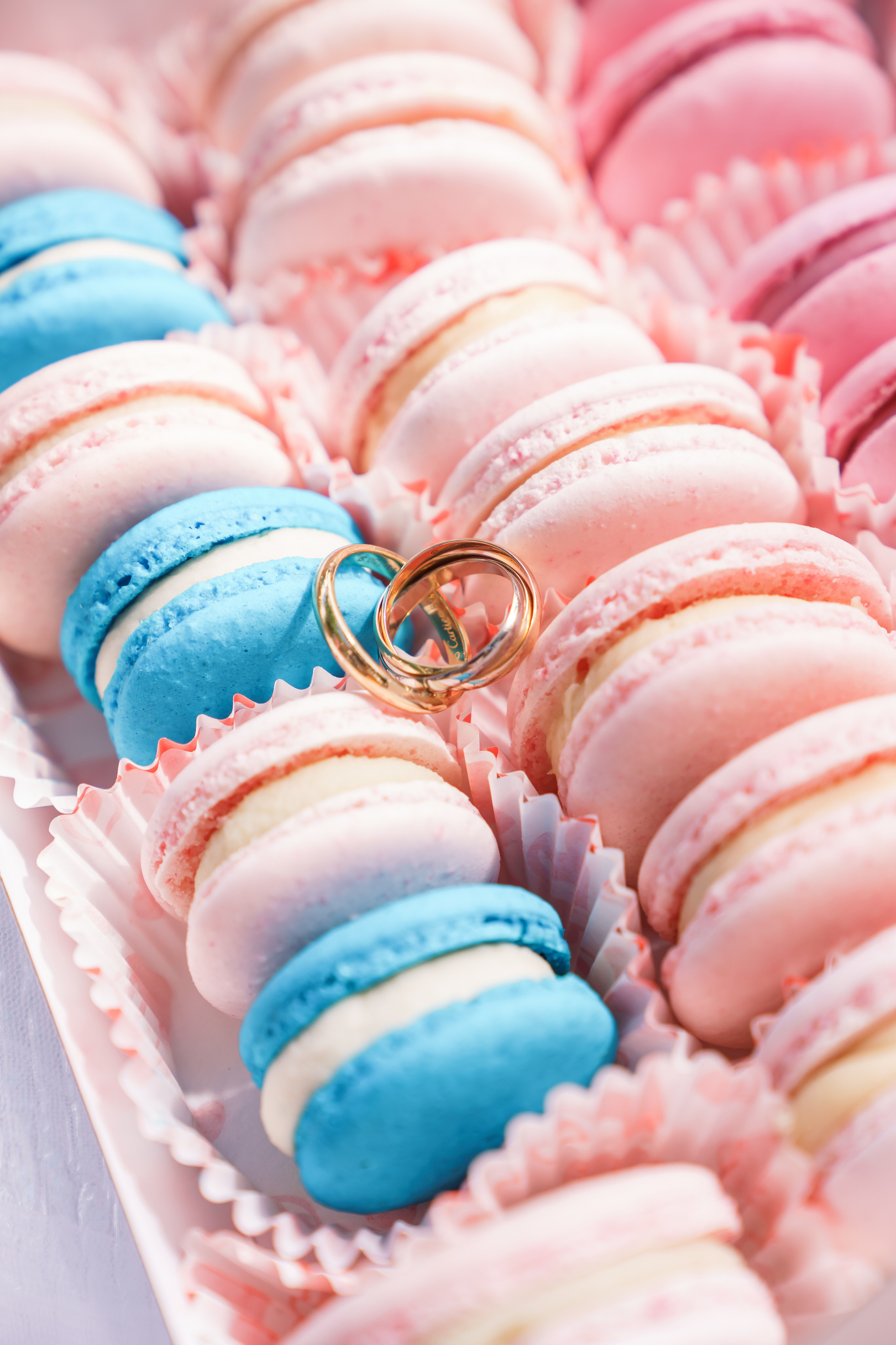 Фотографии со свадьбы. Детская, семейная фотостудия в Санкт-Петербурге