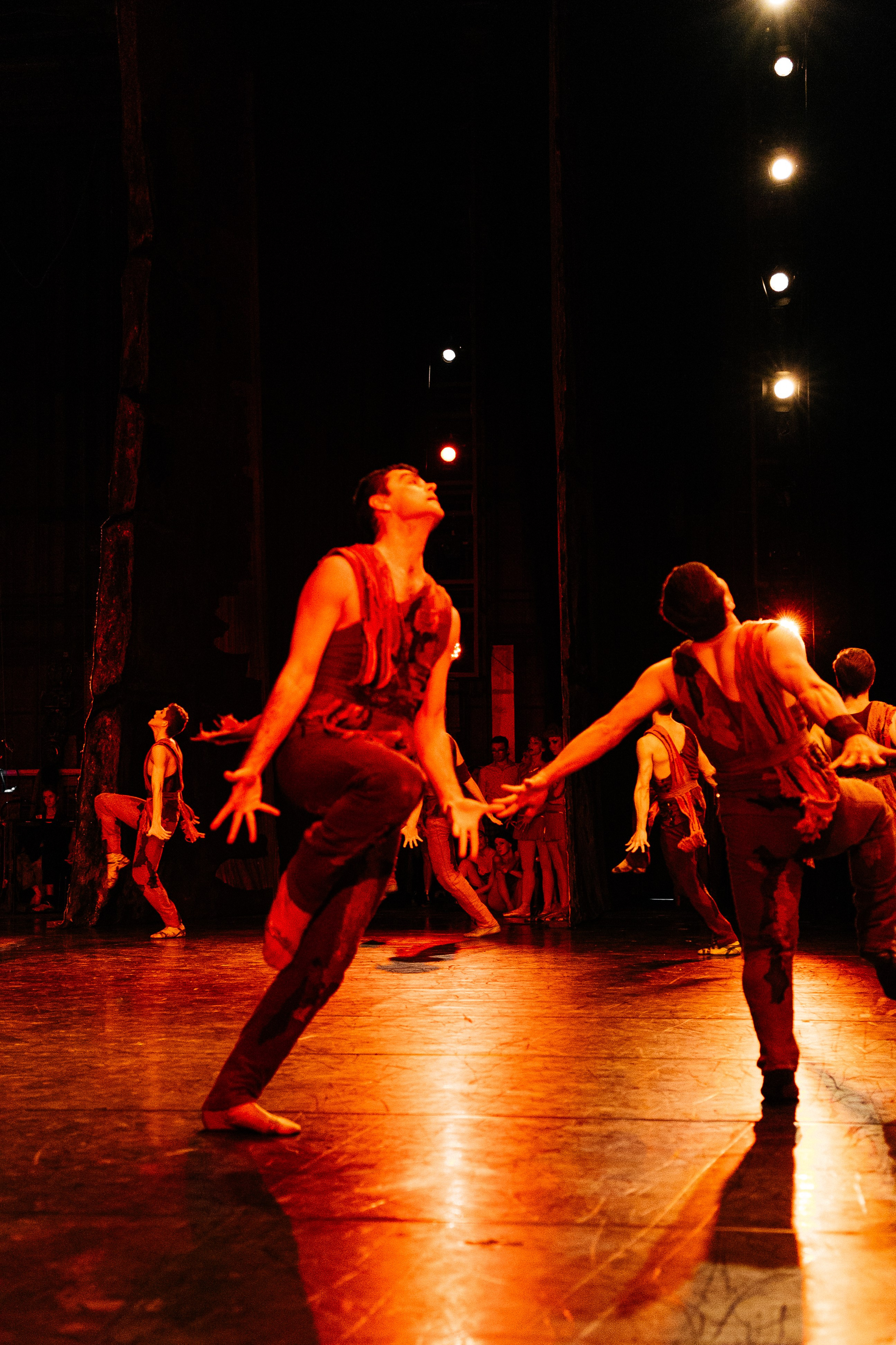 Спартак. Фотограф в Краснодаре Лагунов Владимир