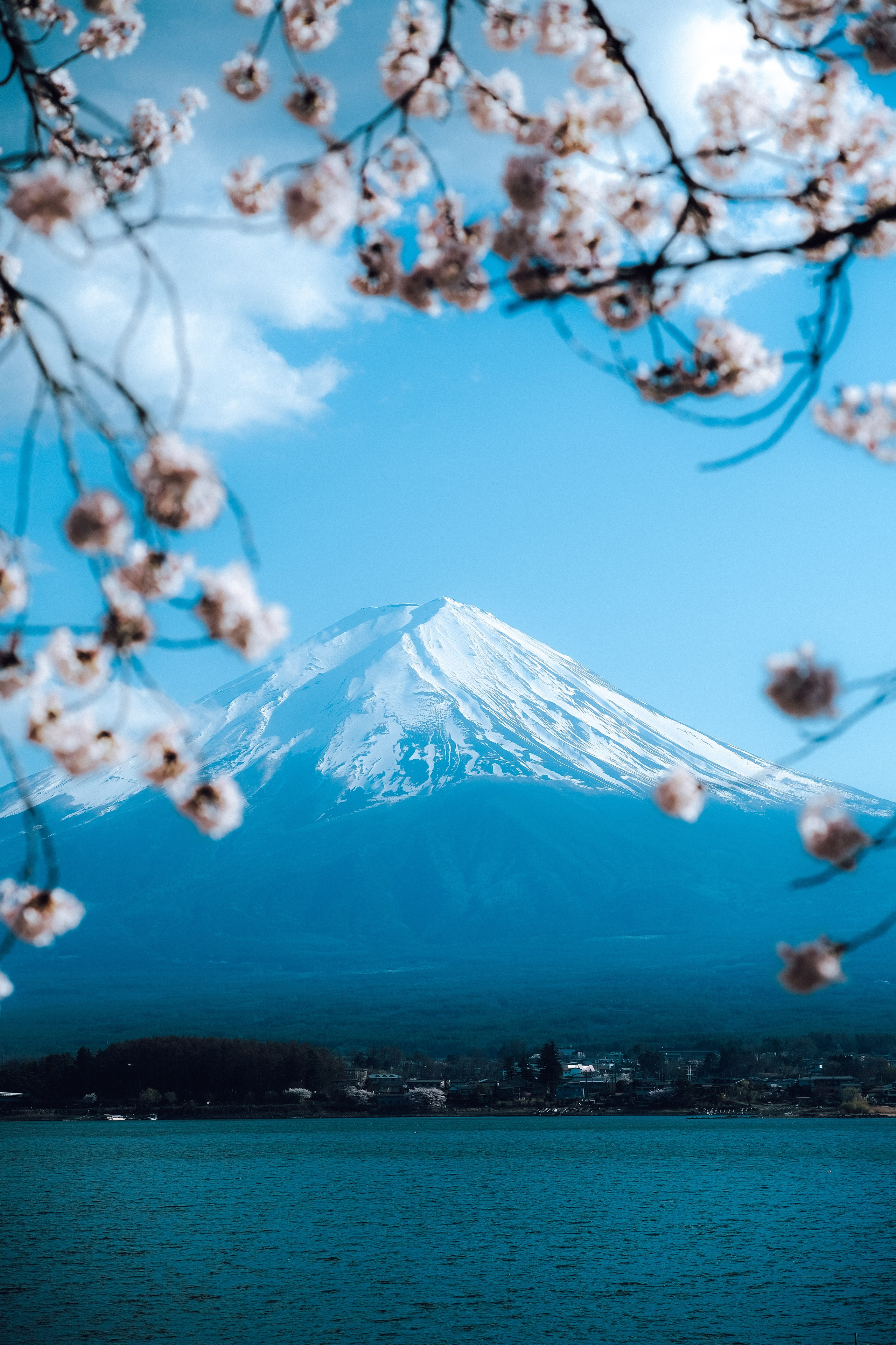 Nippon. Главная