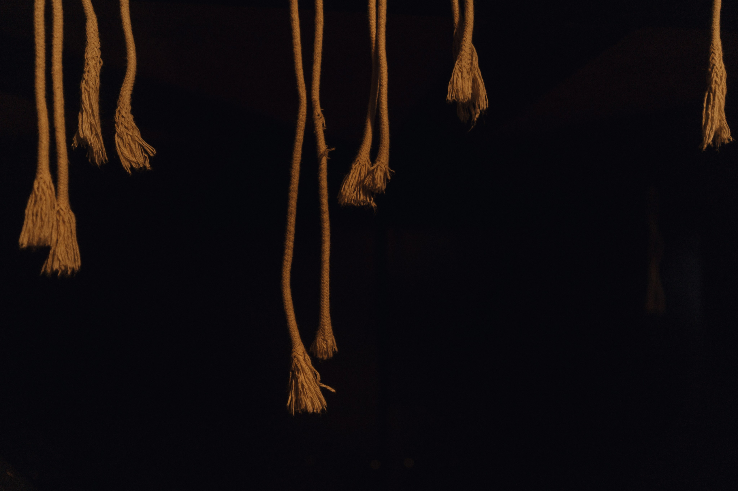 Rock Evolution 03.04.24. Свадебный фотограф в Краснодаре и Сочи Винидиктова Екатерина