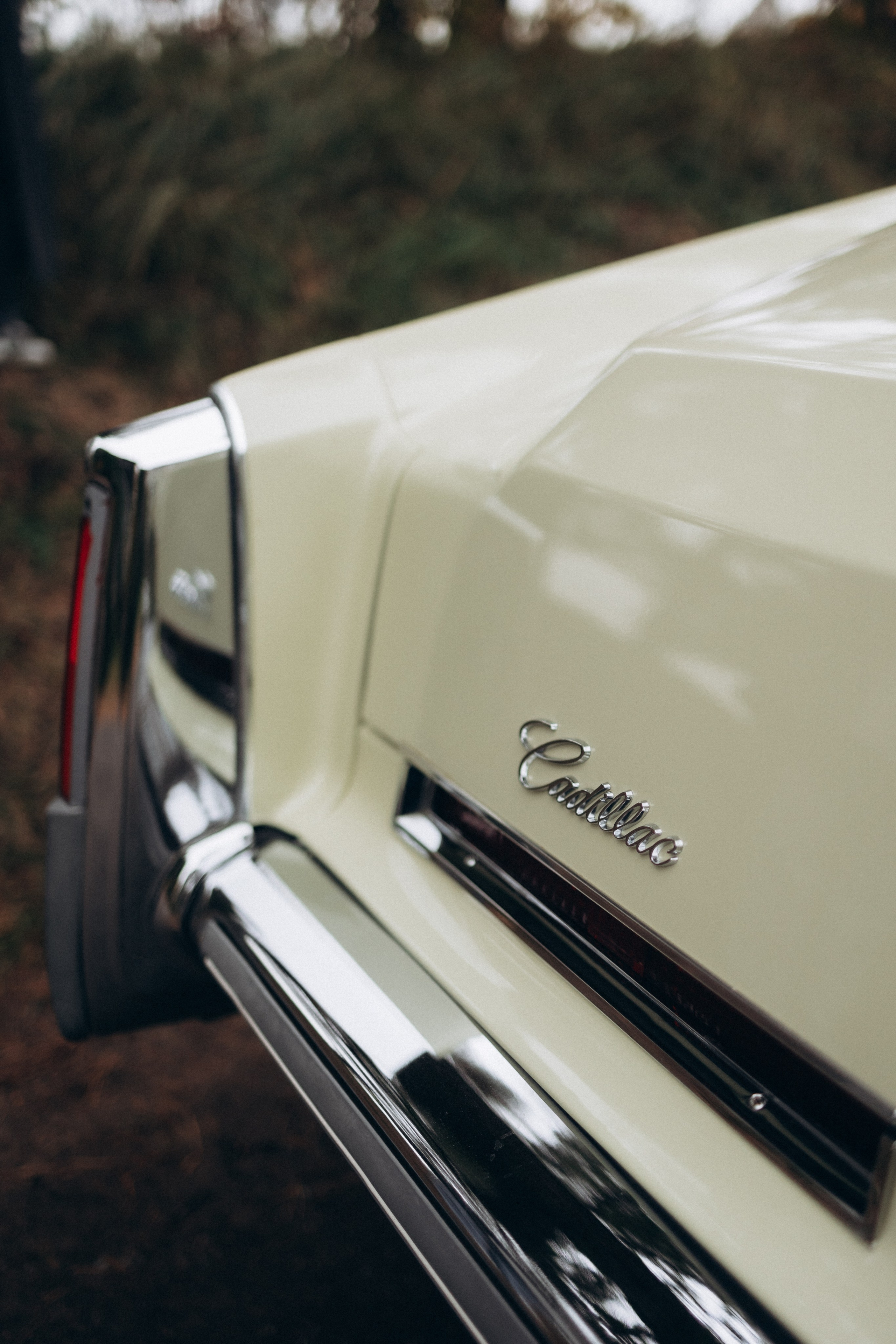 Олег и Алевтина. Фотограф Артем Бросов в Санкт-Петербурге и Дубае