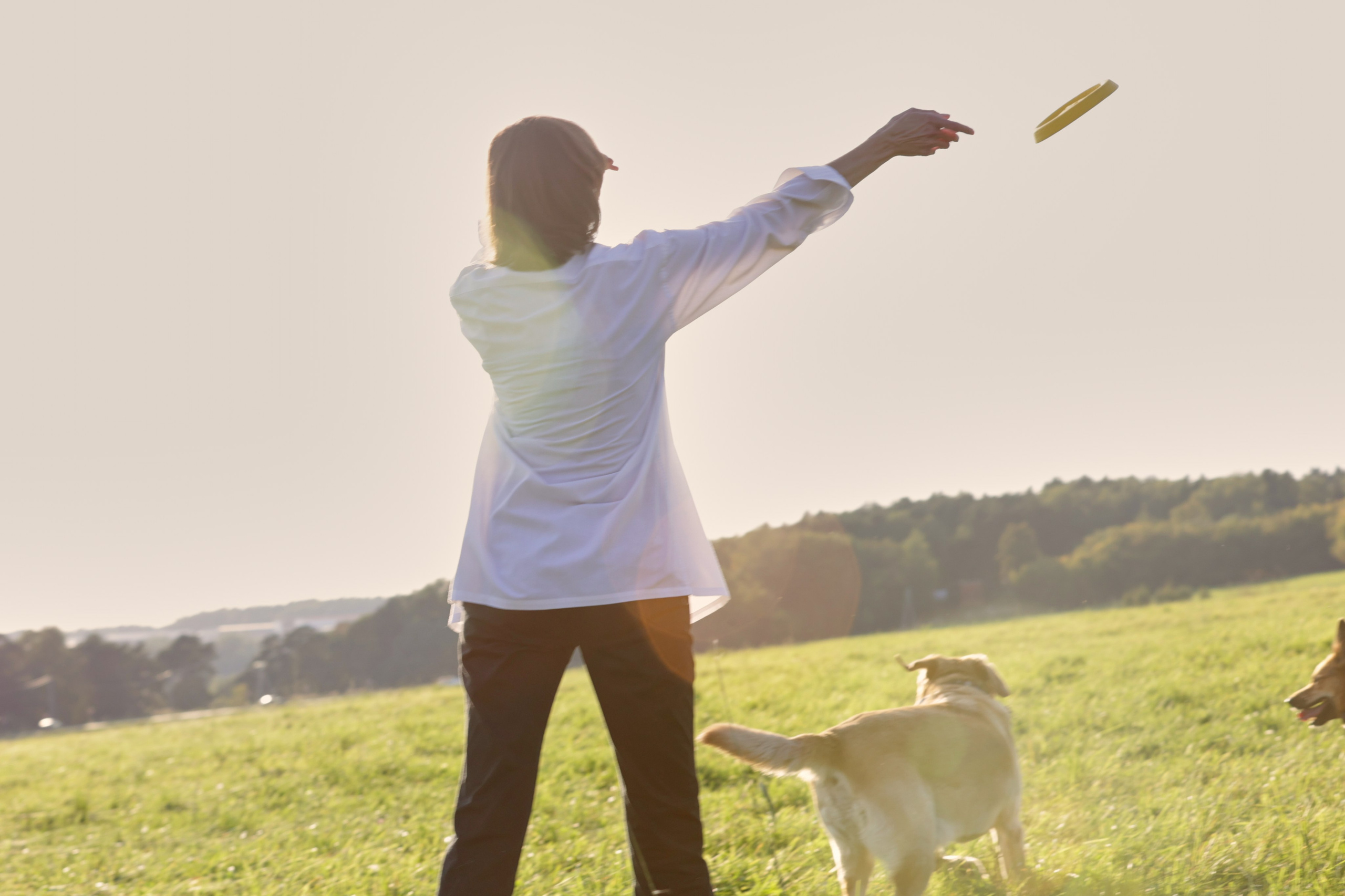хозяйка играет с собакой