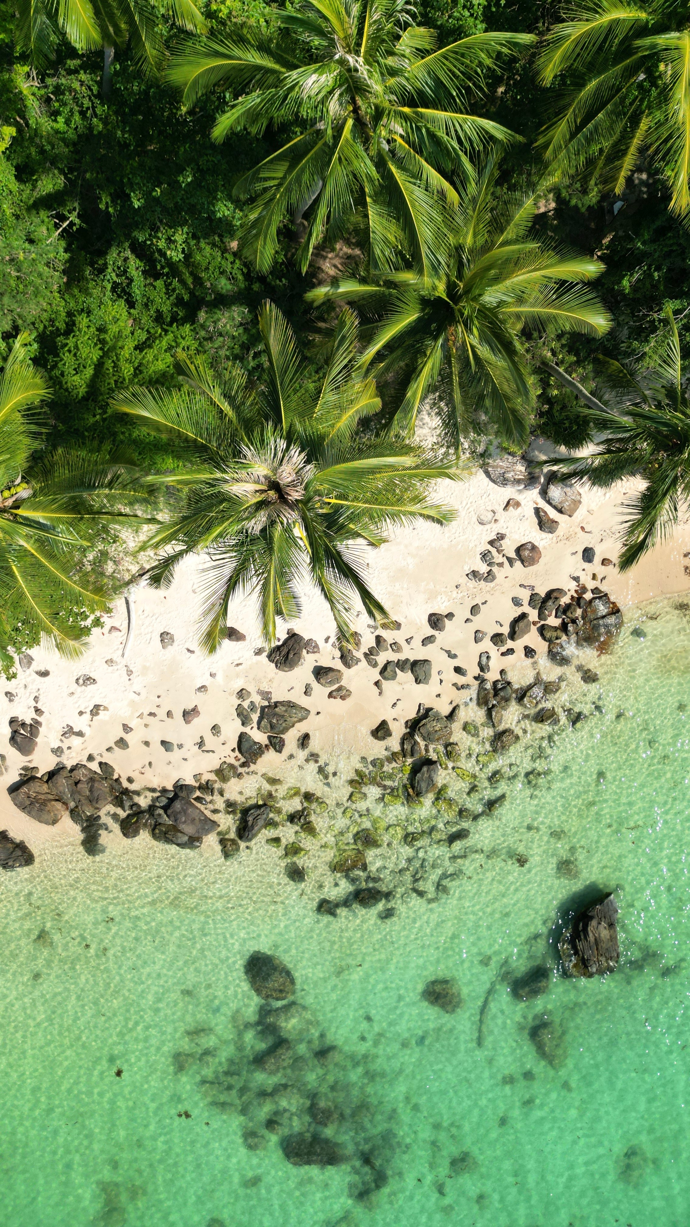 CONTENT. Photographer Monaco, Nice, French Riviera