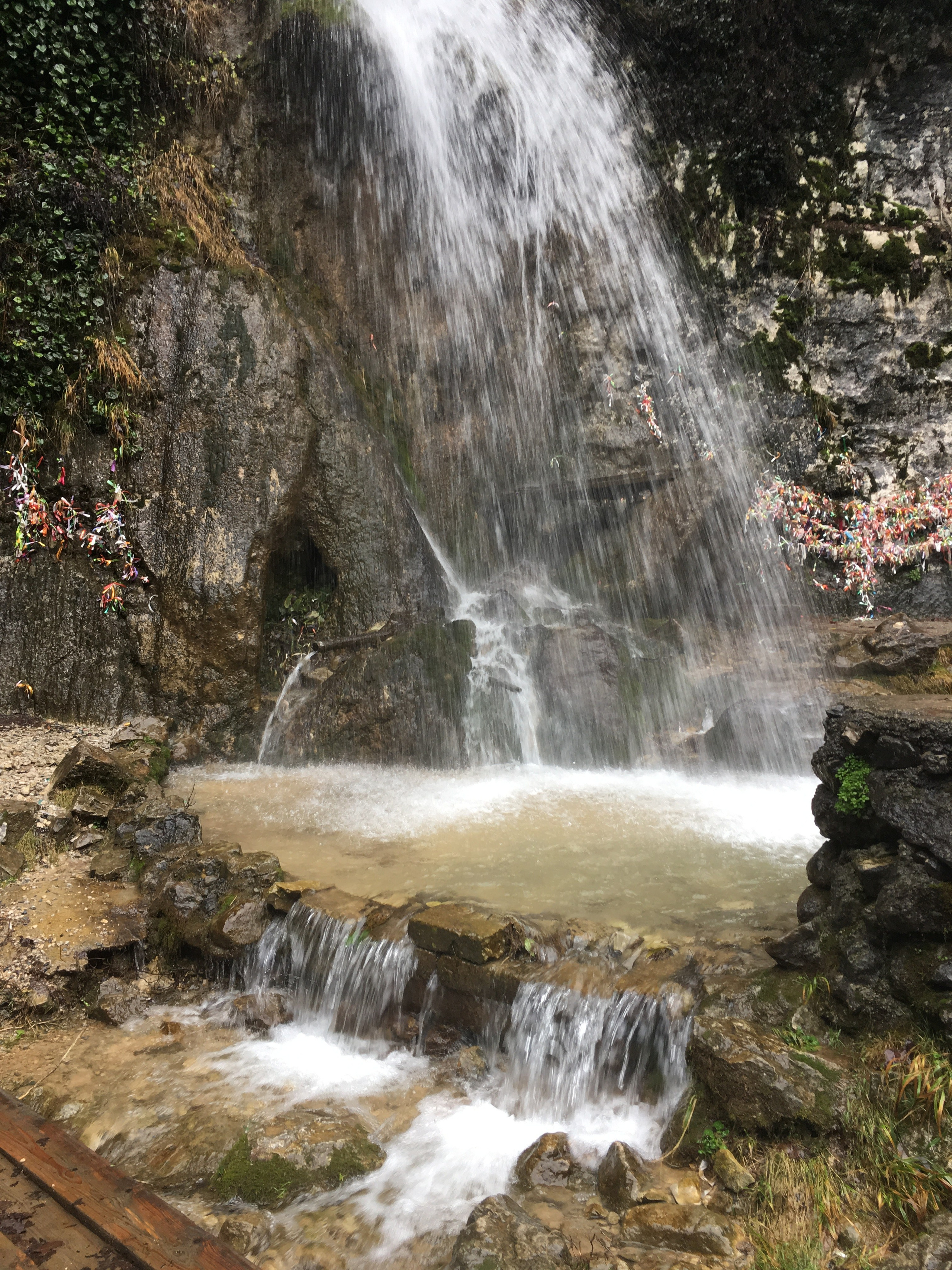 Весенний тур в Гагры «Леди-Миледи». Фотограф Таня Тощевикова