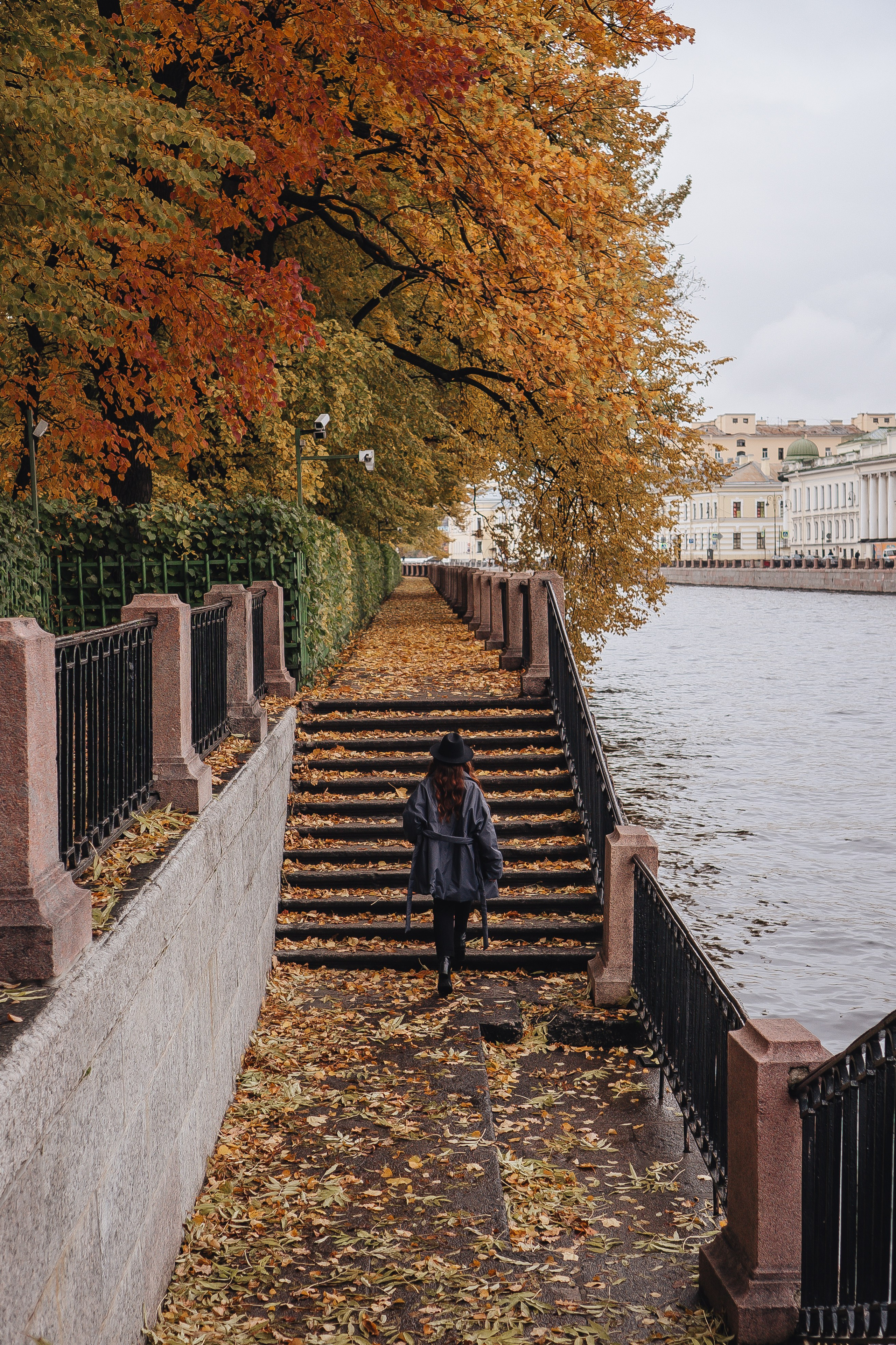 Осень. Профессиональный фотограф, Санкт-Петербург — Виктория Богомолова