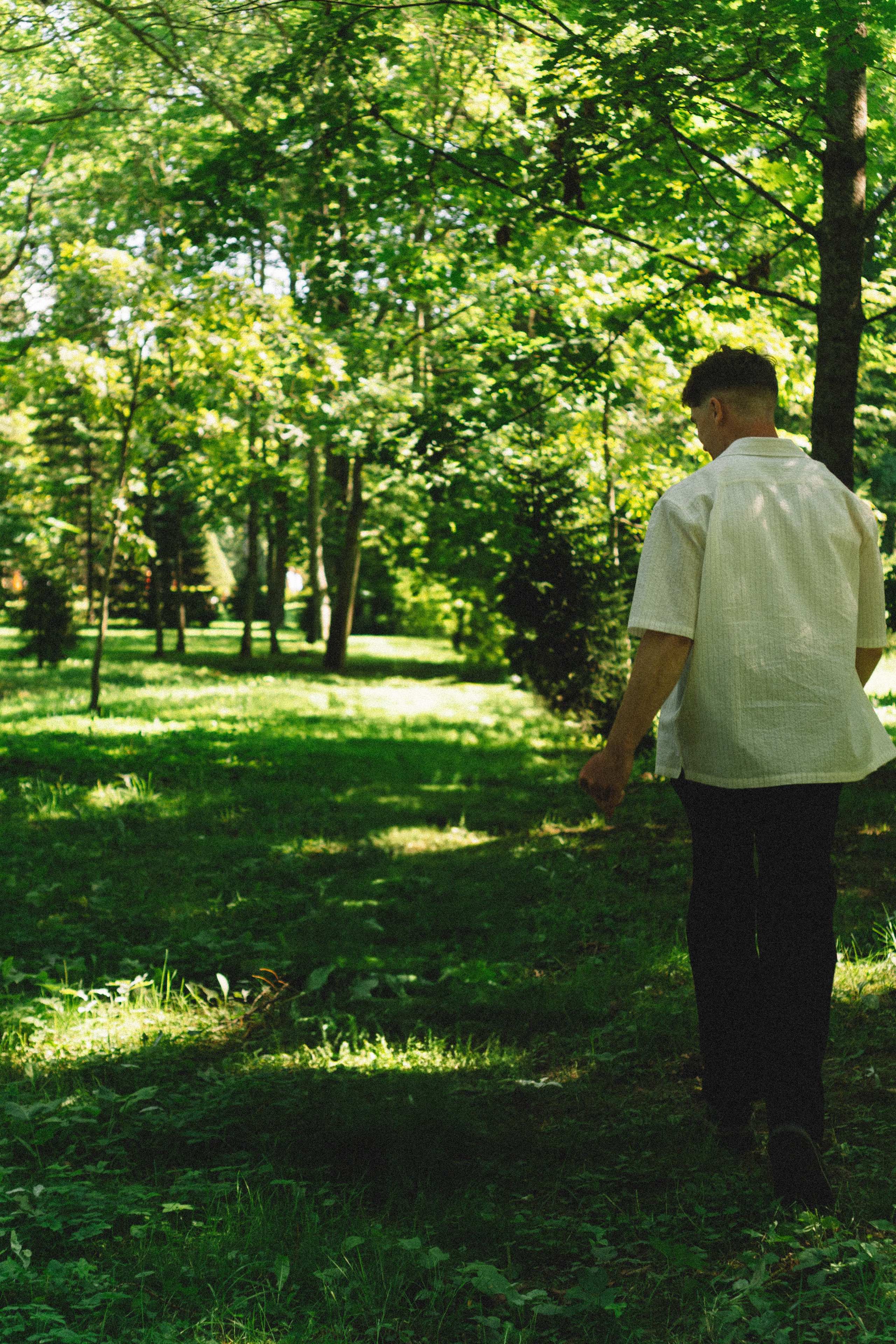 СВАДЕБНАЯ СЬЕМКА В ПЕТЕРГОФЕ И СЬЕМКА РЕПОРТАЖА В ЗАГСЕ ПЕТЕРГОФА. Профессиональный фотограф, Санкт-Петербург — Виктория Богомолова