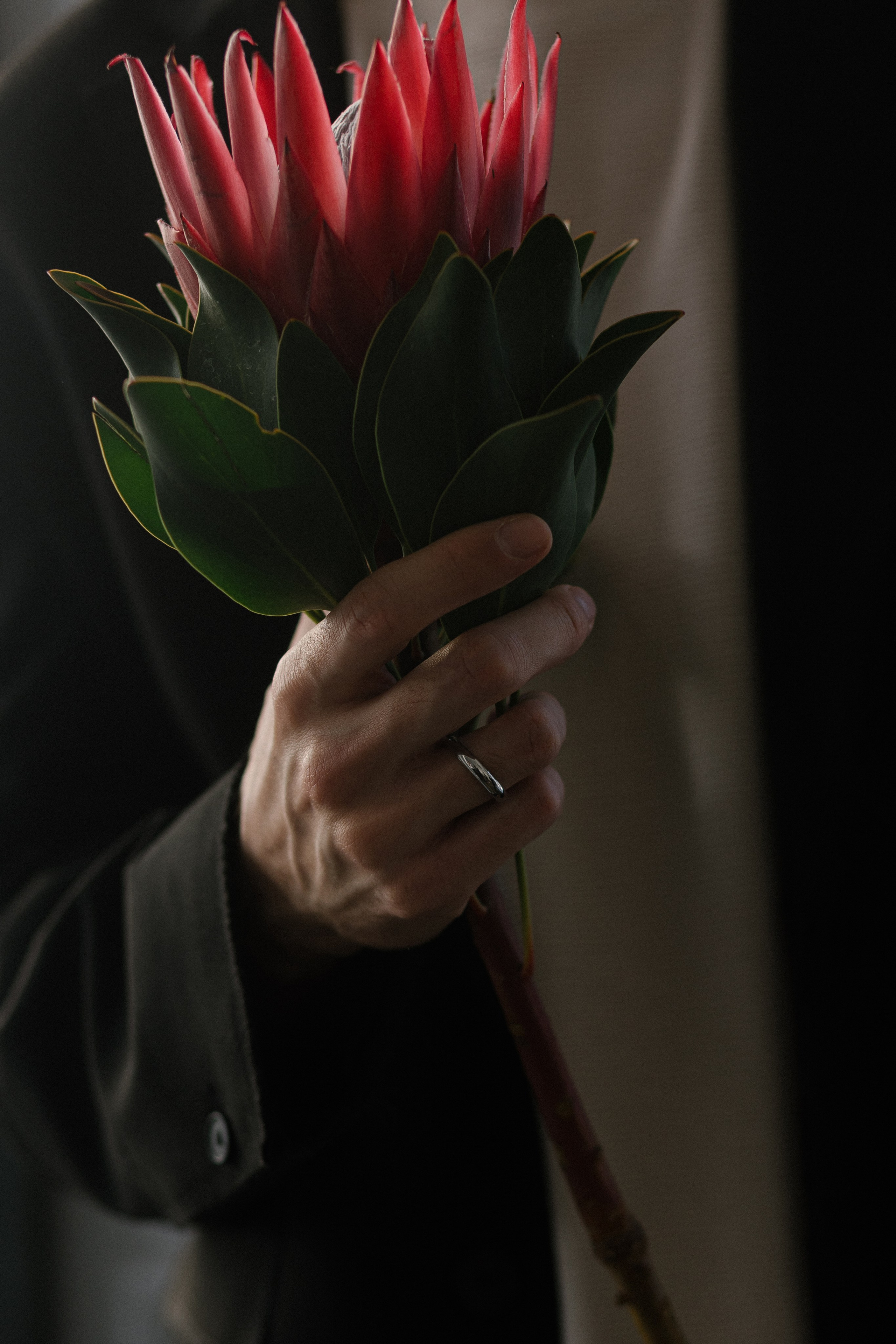 Royal. Главная