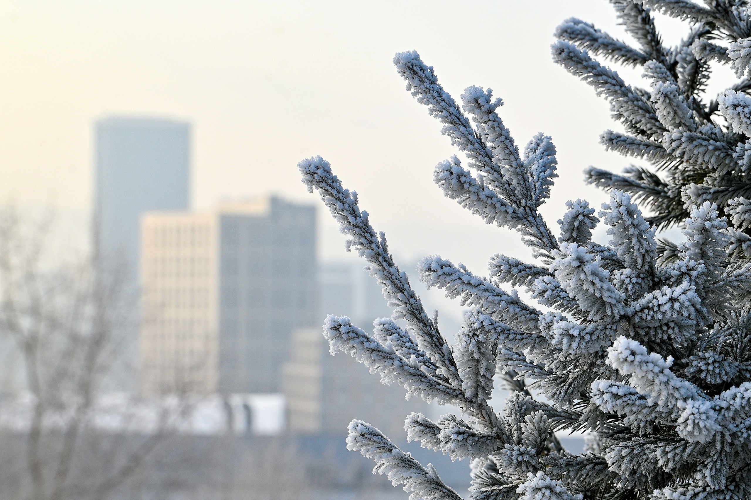 Сибирская зима прекрасна!. FotoGraf