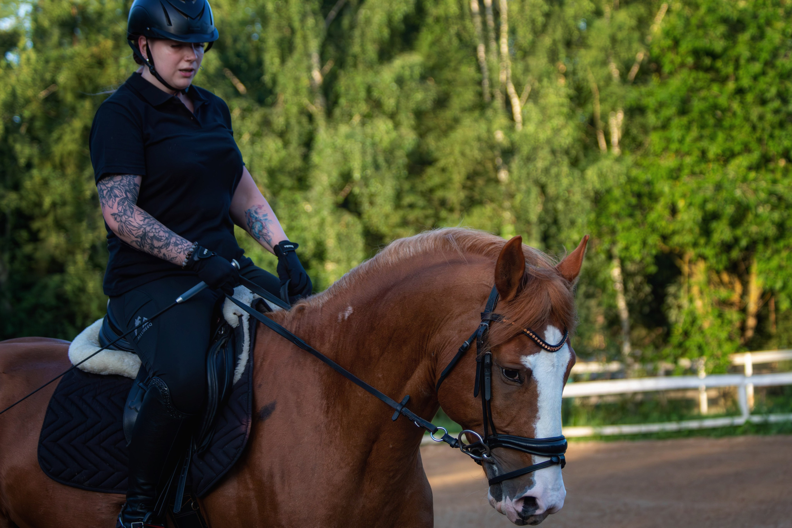 Таисия и Камелот. Фотограф анималист — Тула, Москва