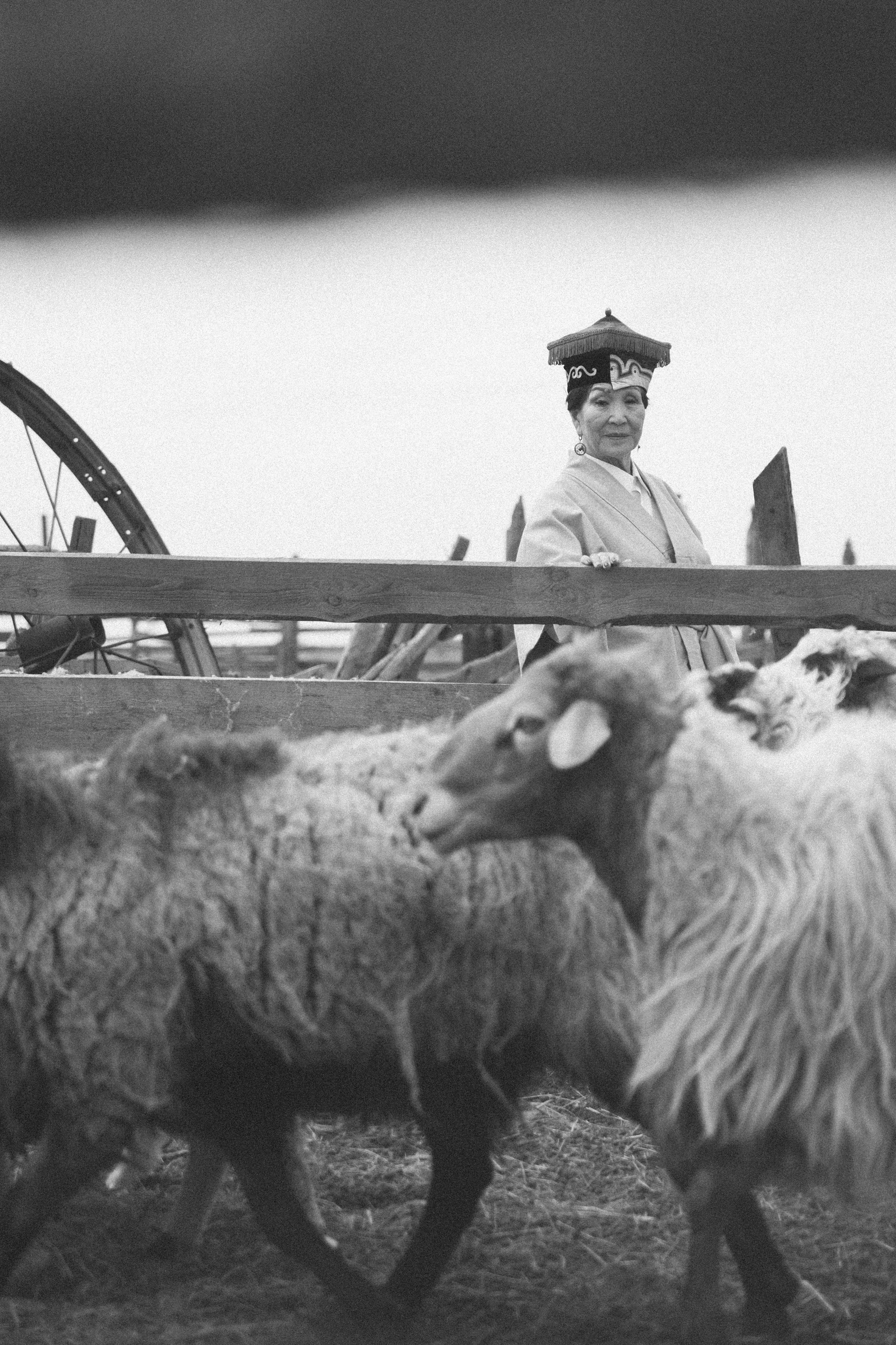 Калмыкия I Май 2024. Commercial photographer Natalia Bychkova