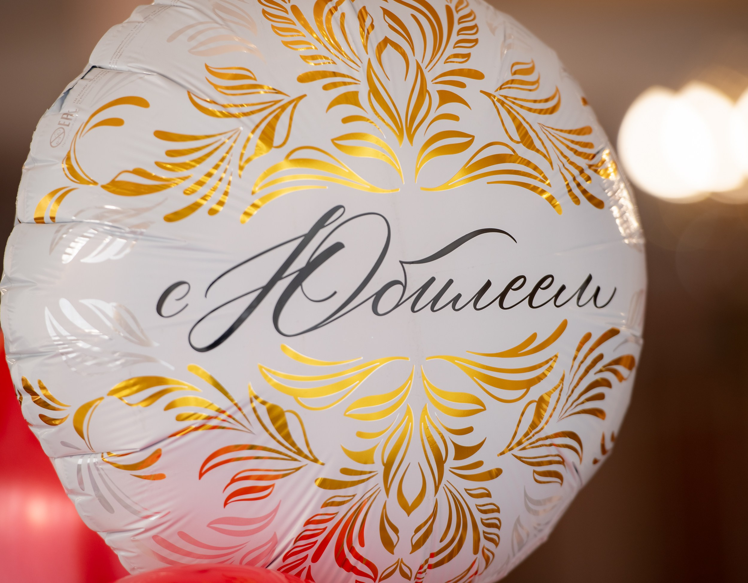 Юбилей в ресторане Терсь. ProfotoNK