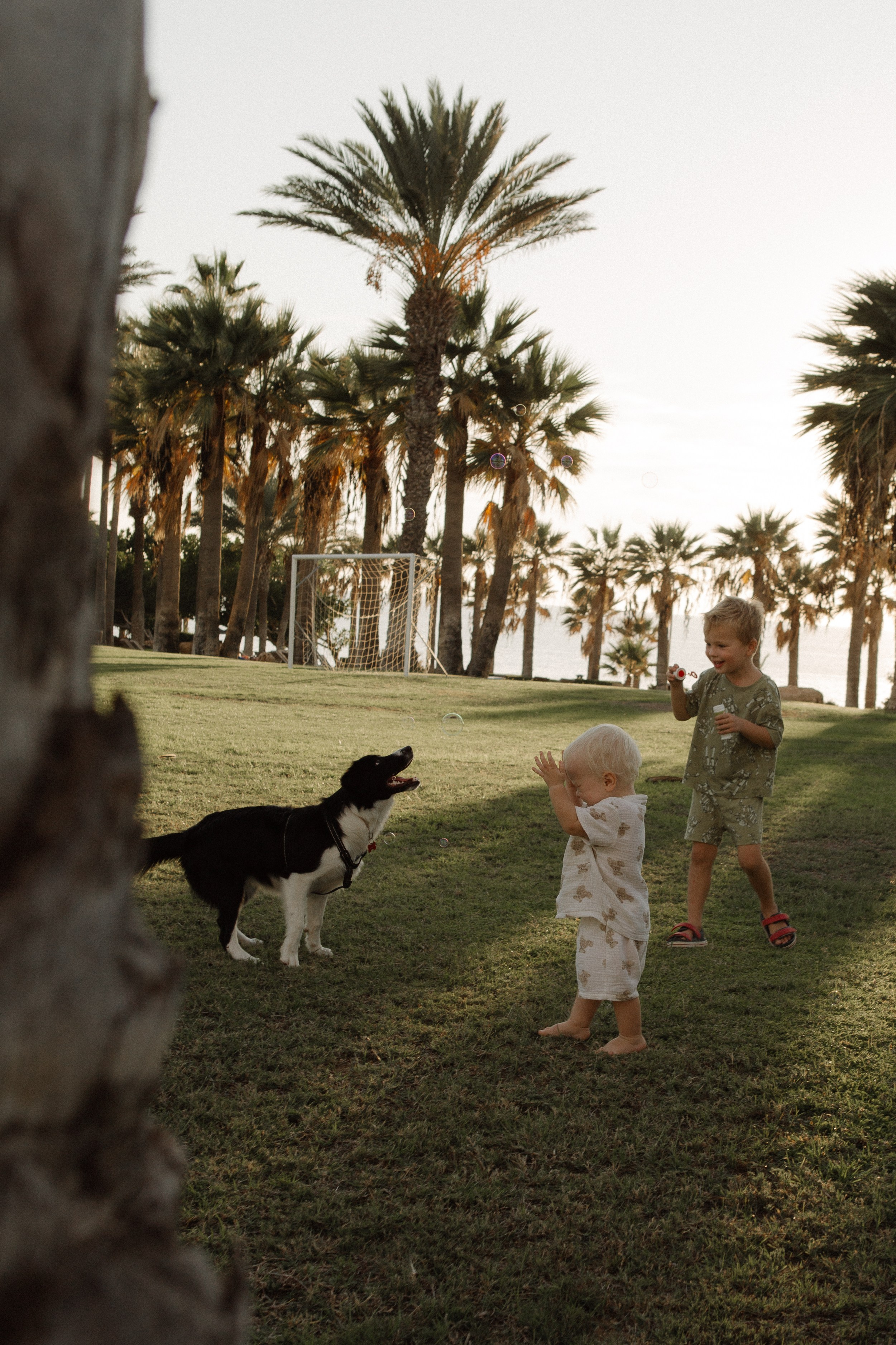 Melymko fam. Portrait, family and pet photographer in Cyprus, Ksenia Bourdelle