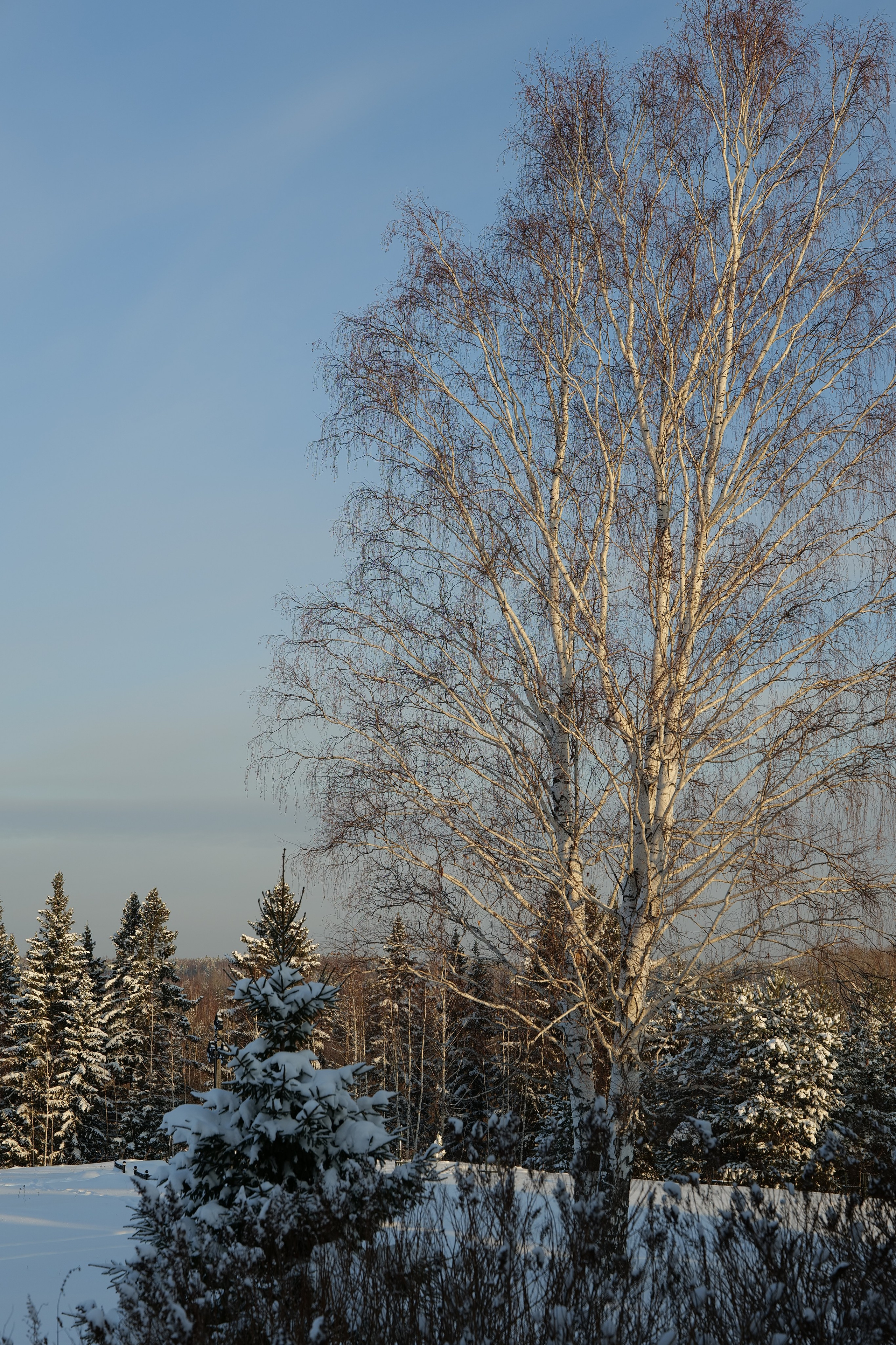 Верхотурье. Владимир Власюк