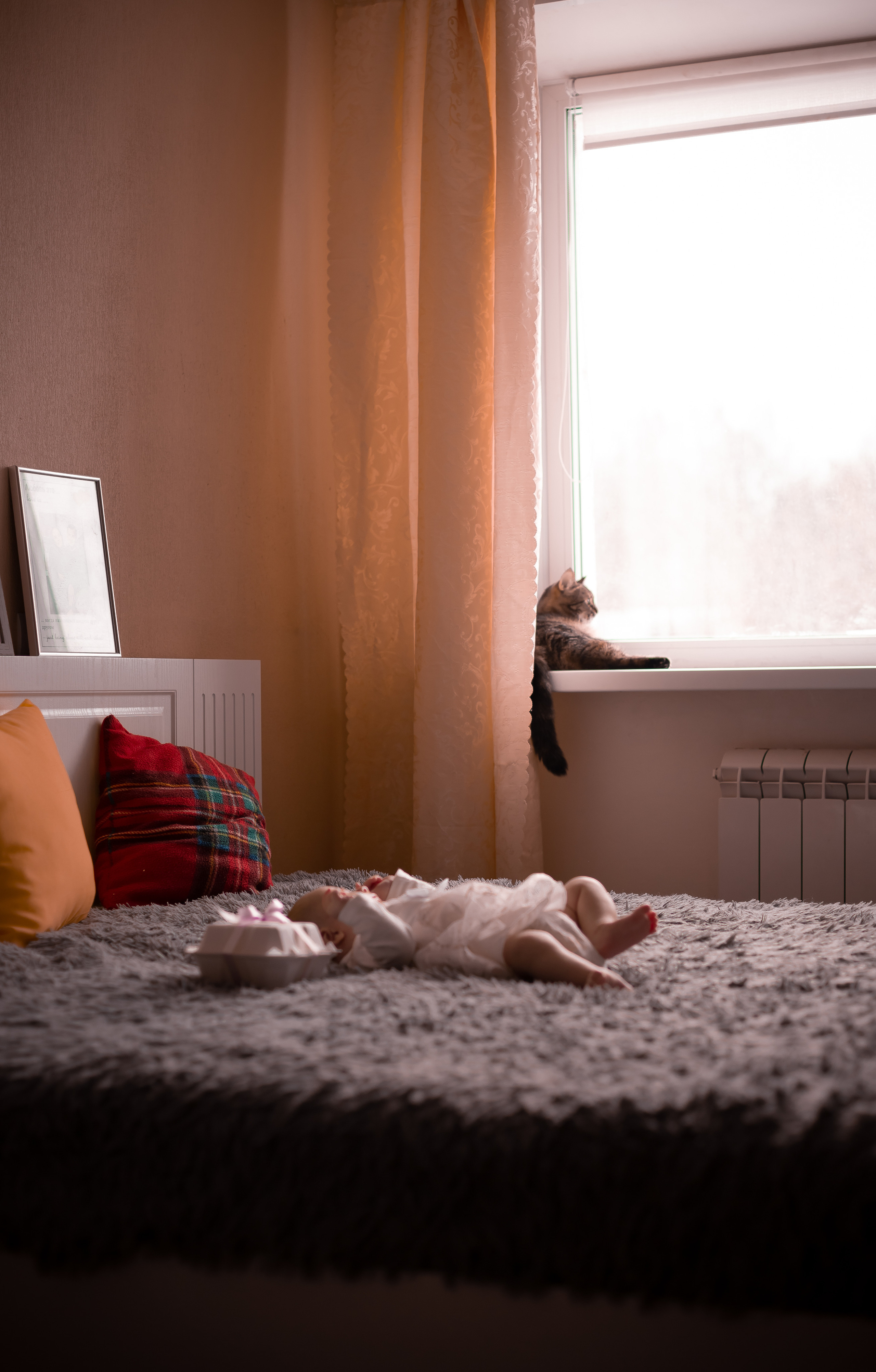 Каролина. Фотограф в Ульяновске Александра Григоровских