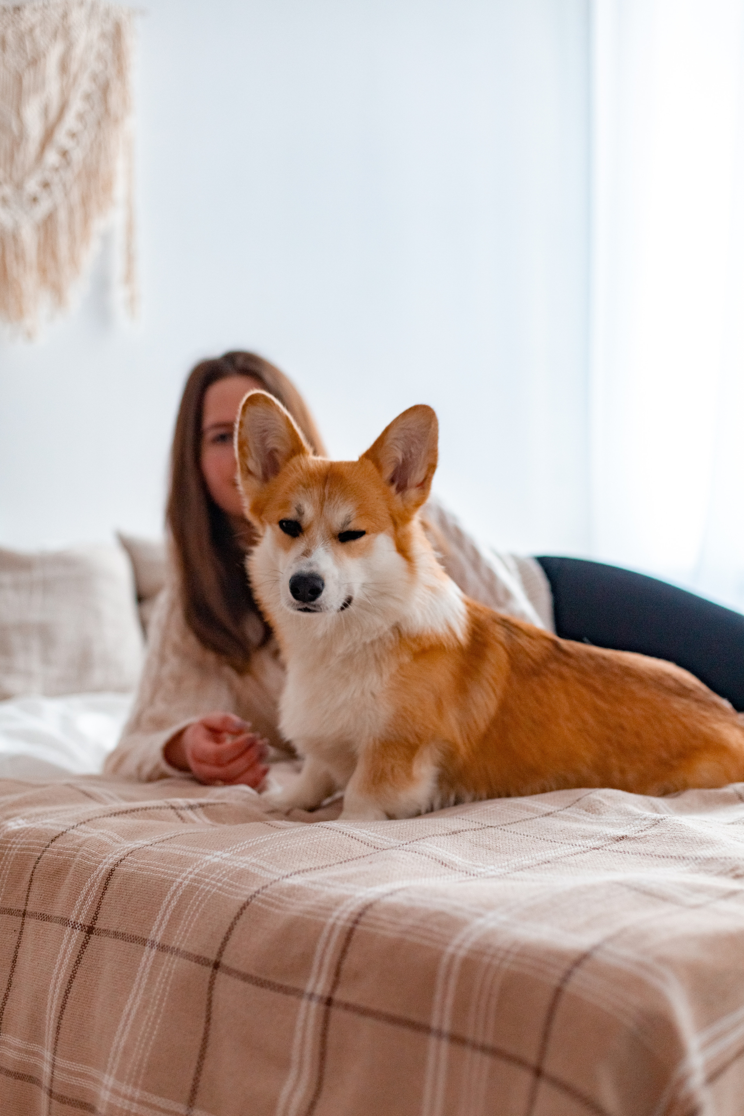Наташа и Луи — рыжая любовь. Фотограф в Ульяновске Александра Григоровских