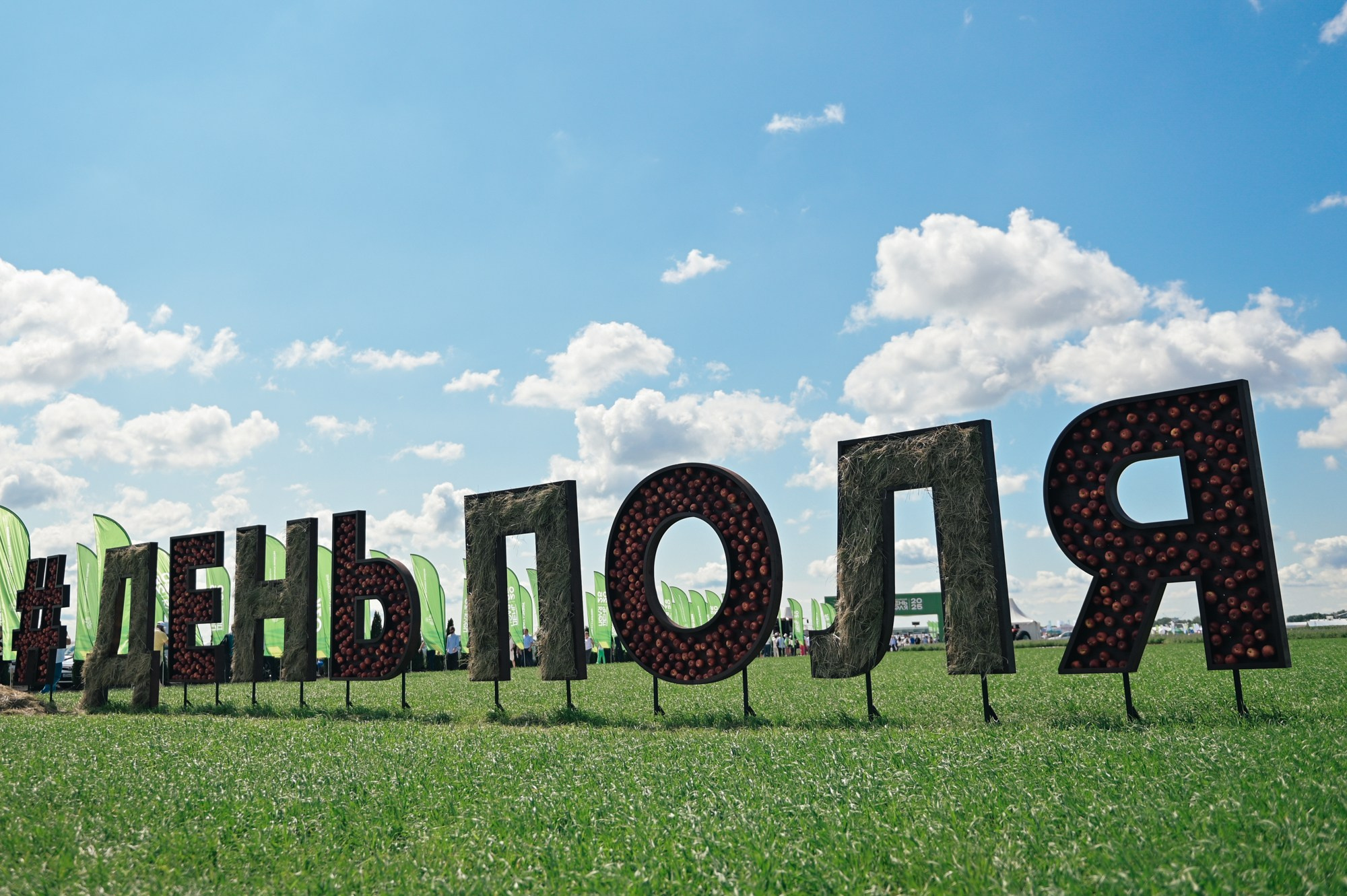 Всероссийский ДЕНЬ ПОЛЯ 2025. Фотограф в Волгограде Виталий Самойлов