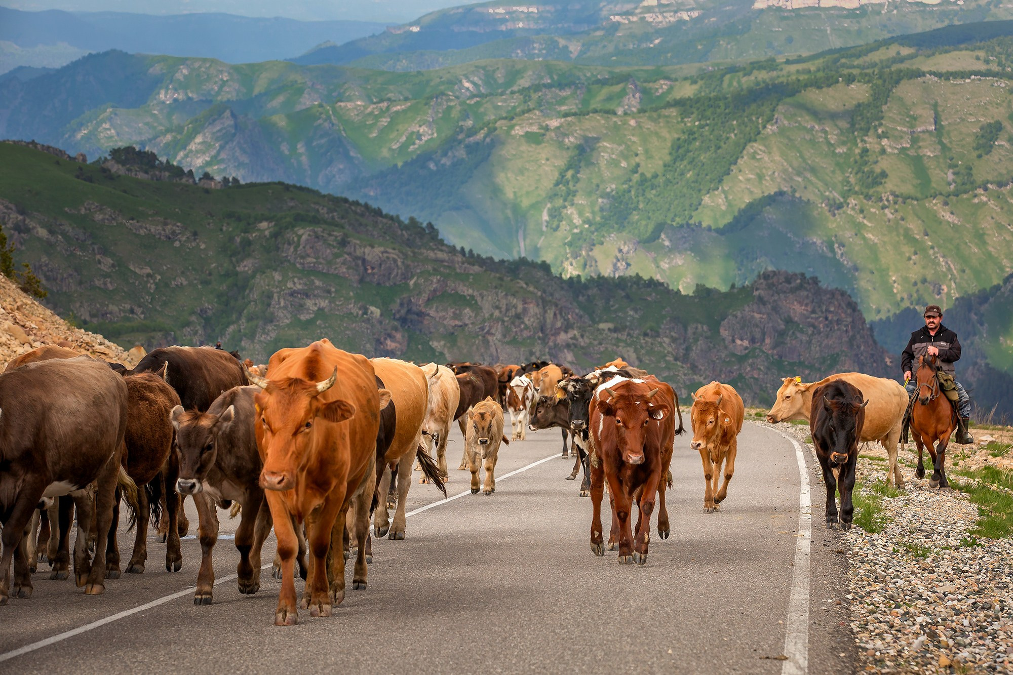 Северный Кавказ, Россия. Фотограф Владимир Остапенко