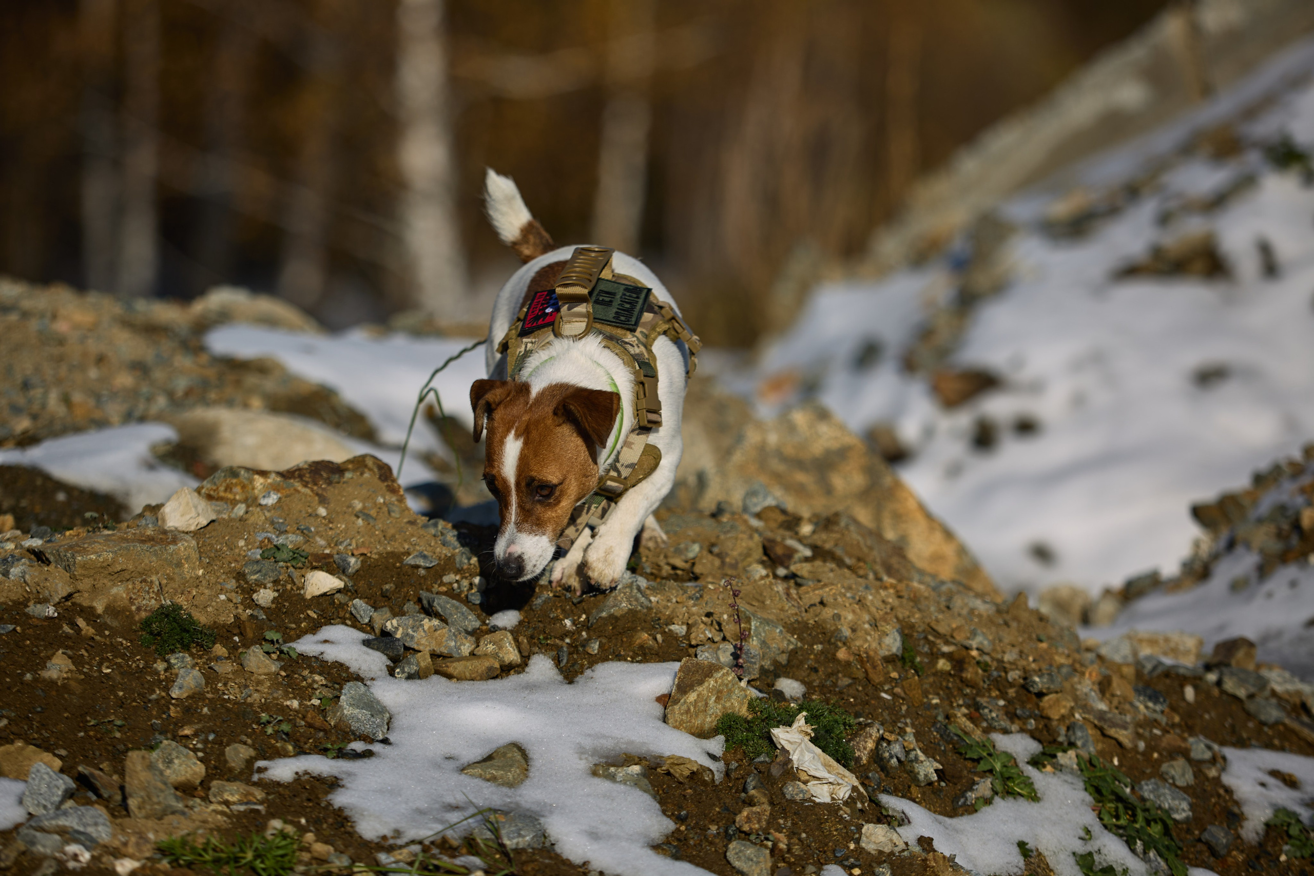 Лети Спасатель. Buyvolenko Andrey