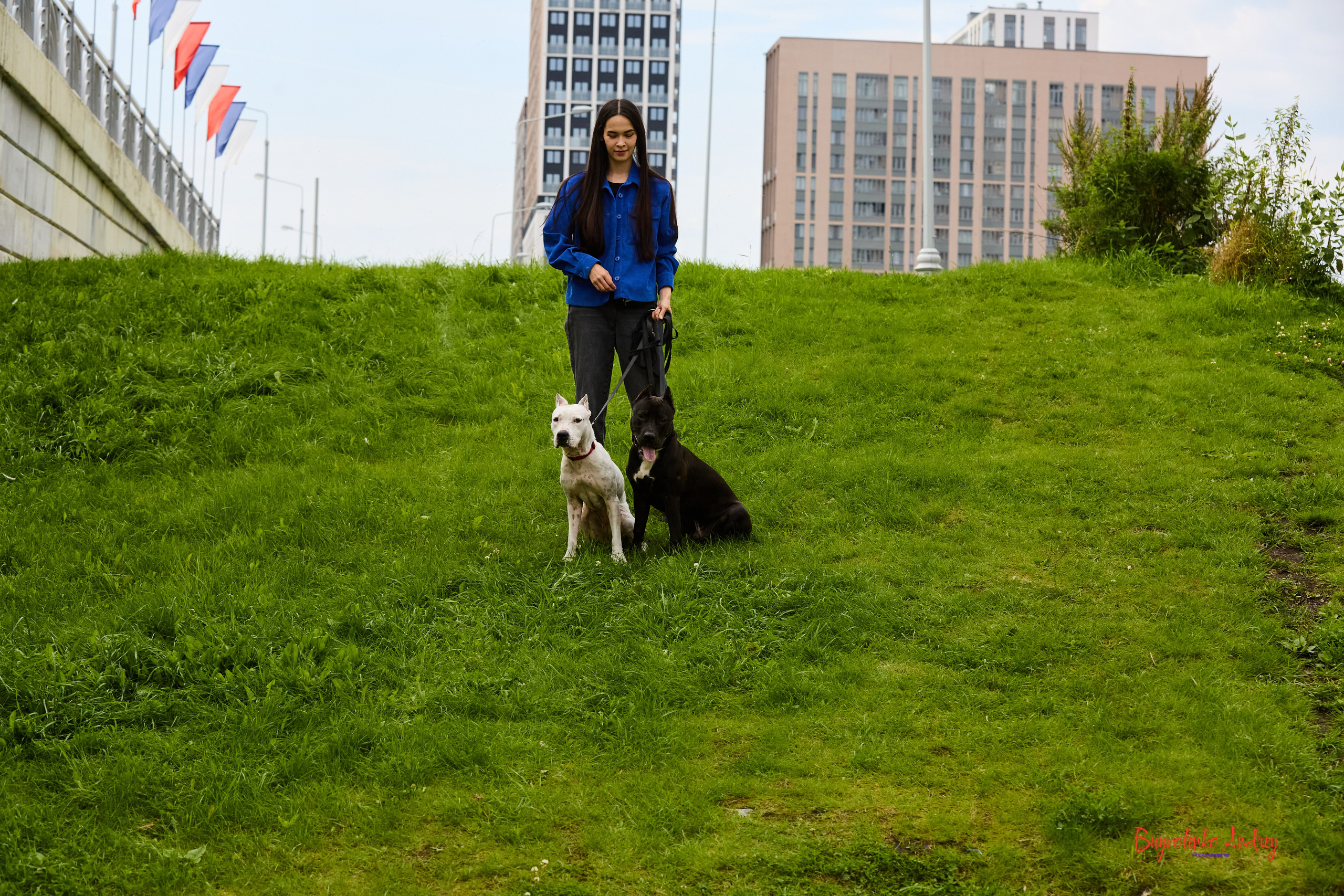 Проект фотопрогулка с хвостиком. Buyvolenko Andrey