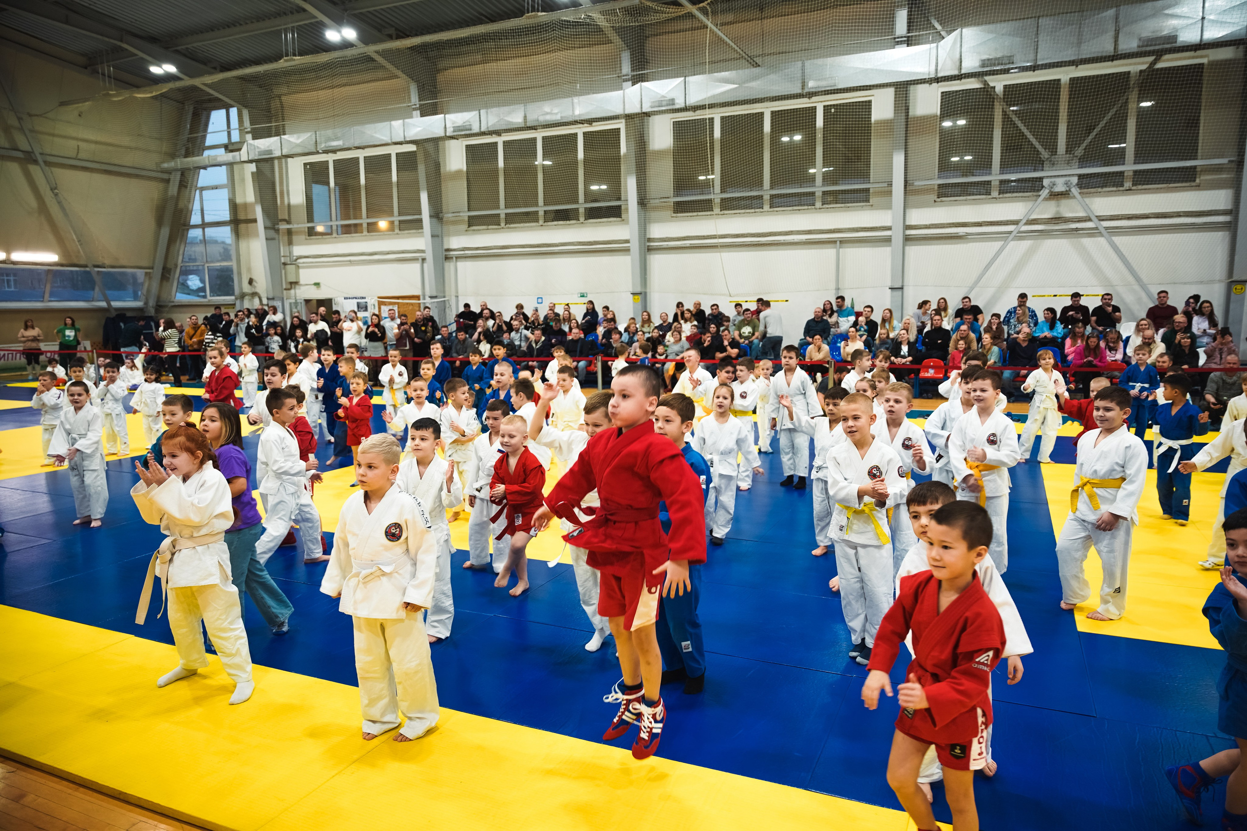 Самбо. Портретный и репортажный фотограф