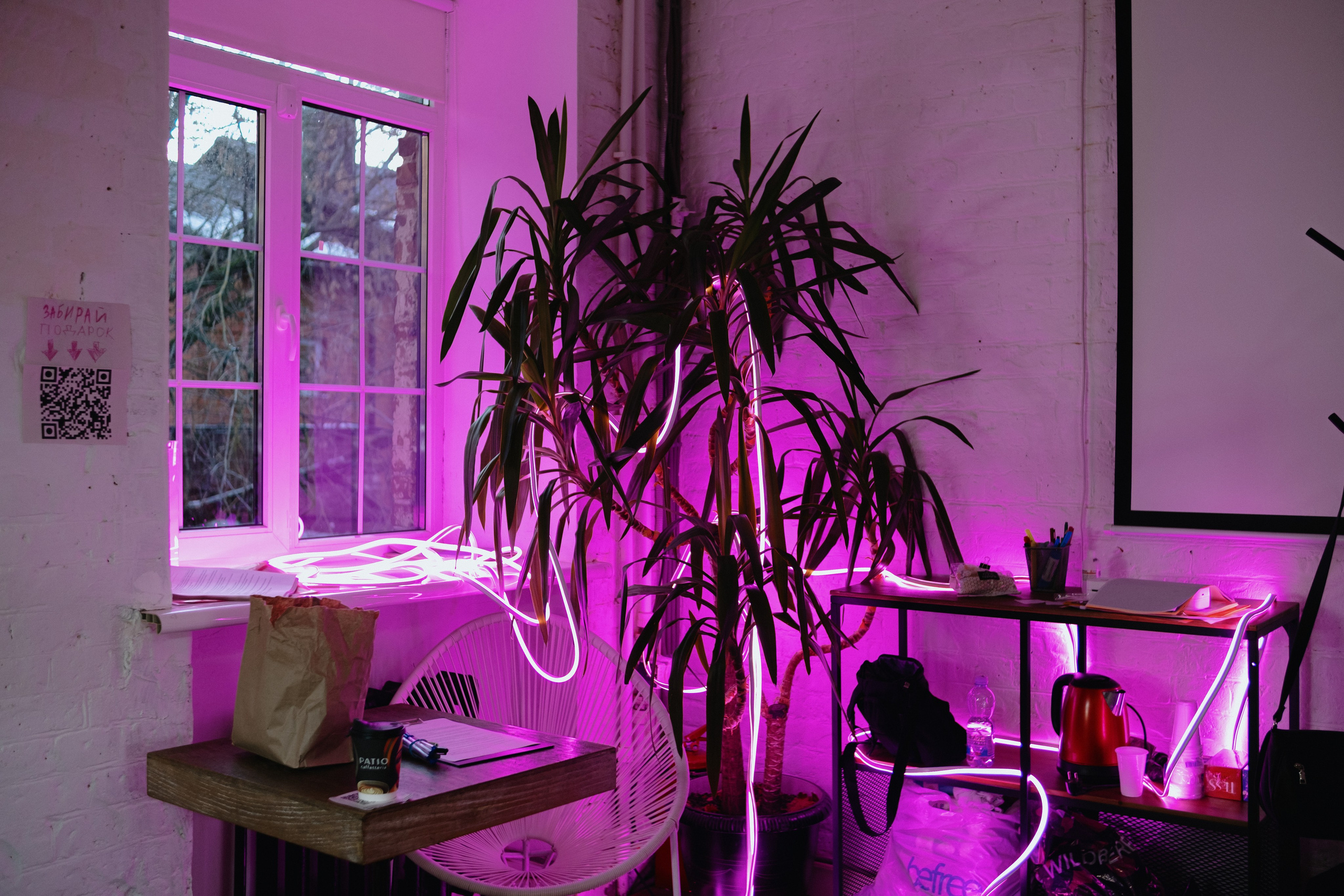 Арт-маркет «Купи слона!». Фотограф Vika Rin