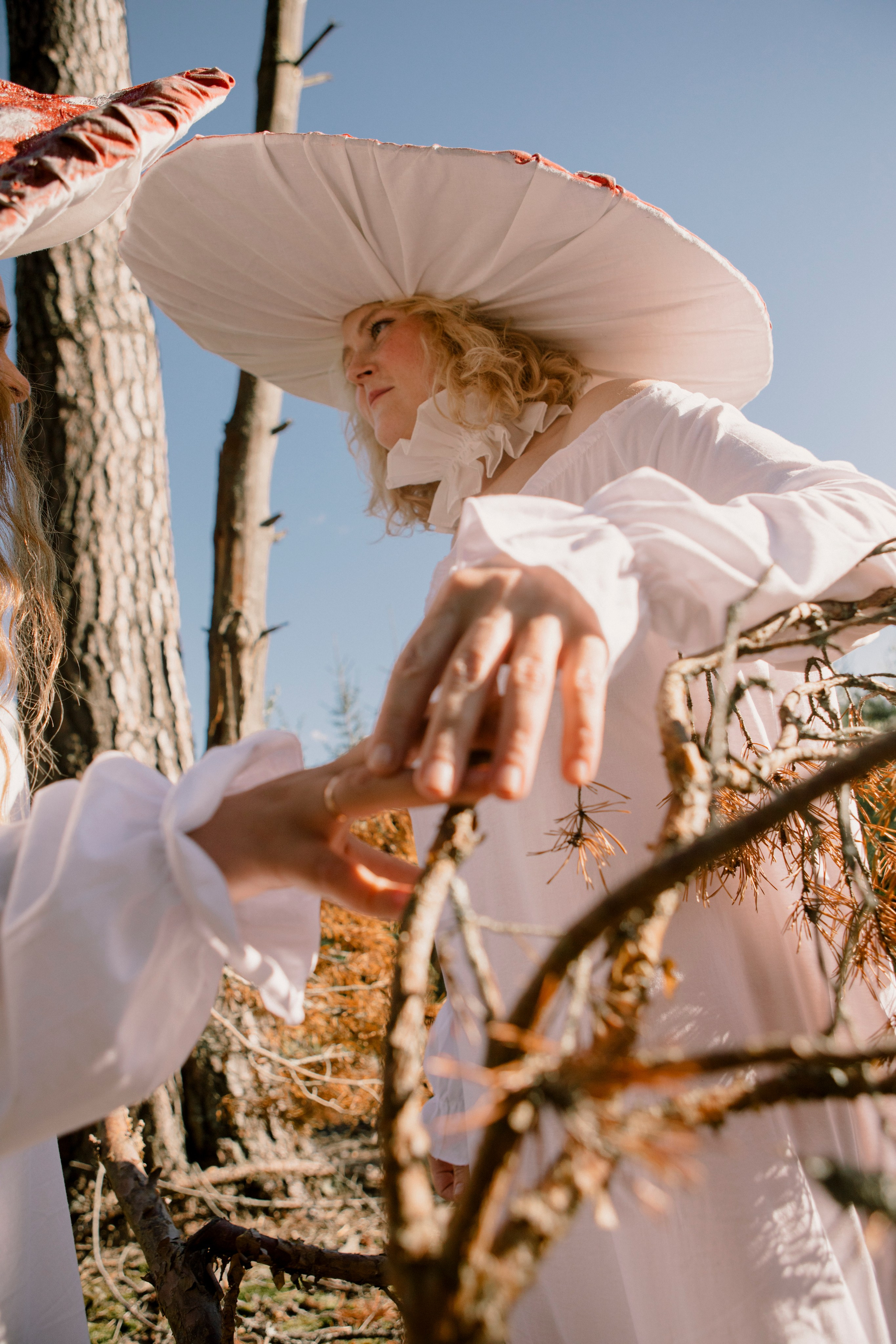 Грибы. Ольга Пилант. АРТ, бэкстейдж, свадебная и семейная фотография, городской портрет, интерьерная фотография