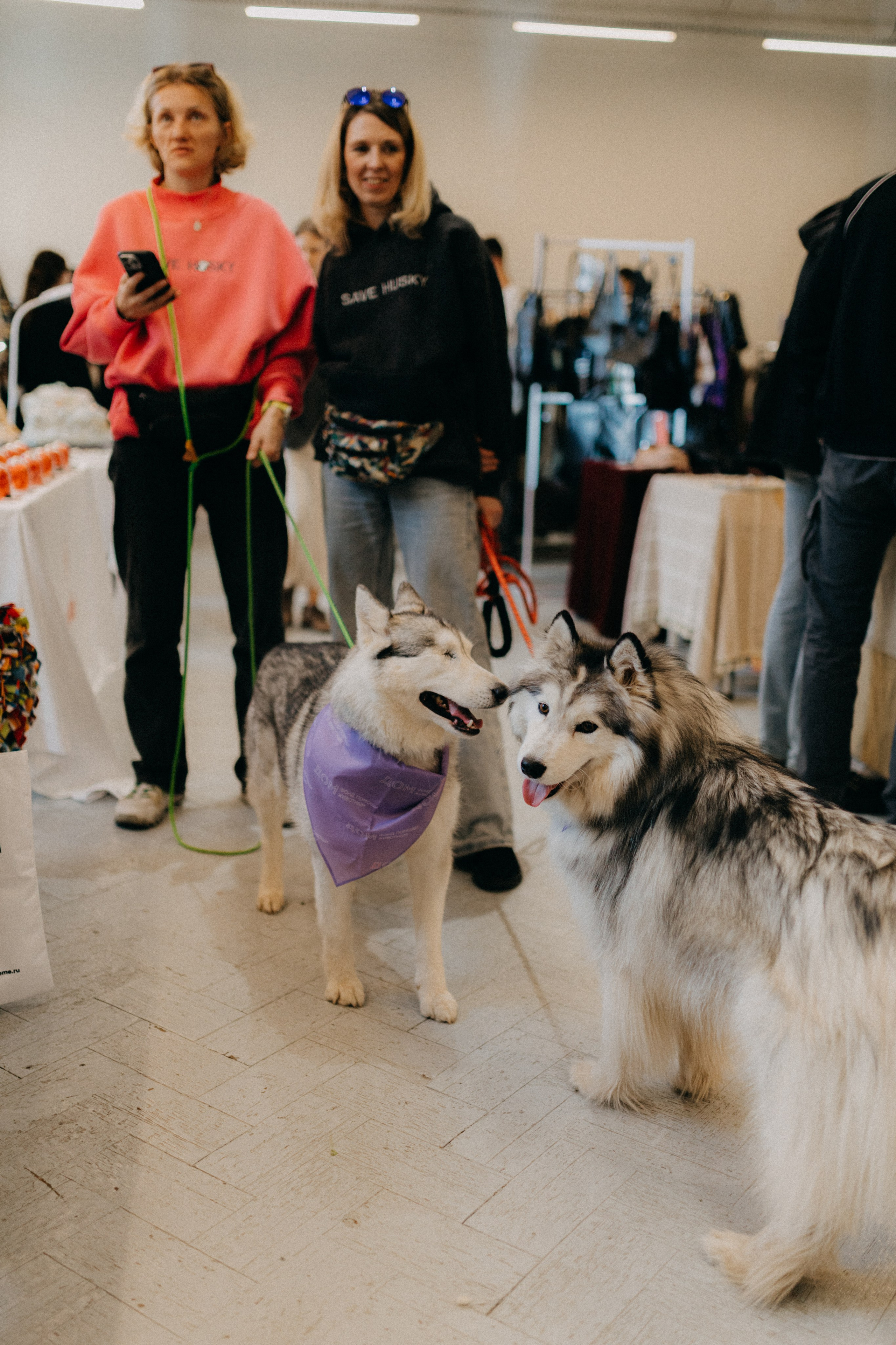 Маркет КИТЧ. Фотограф НОГИНСК, Москва, Анастасия Белая
