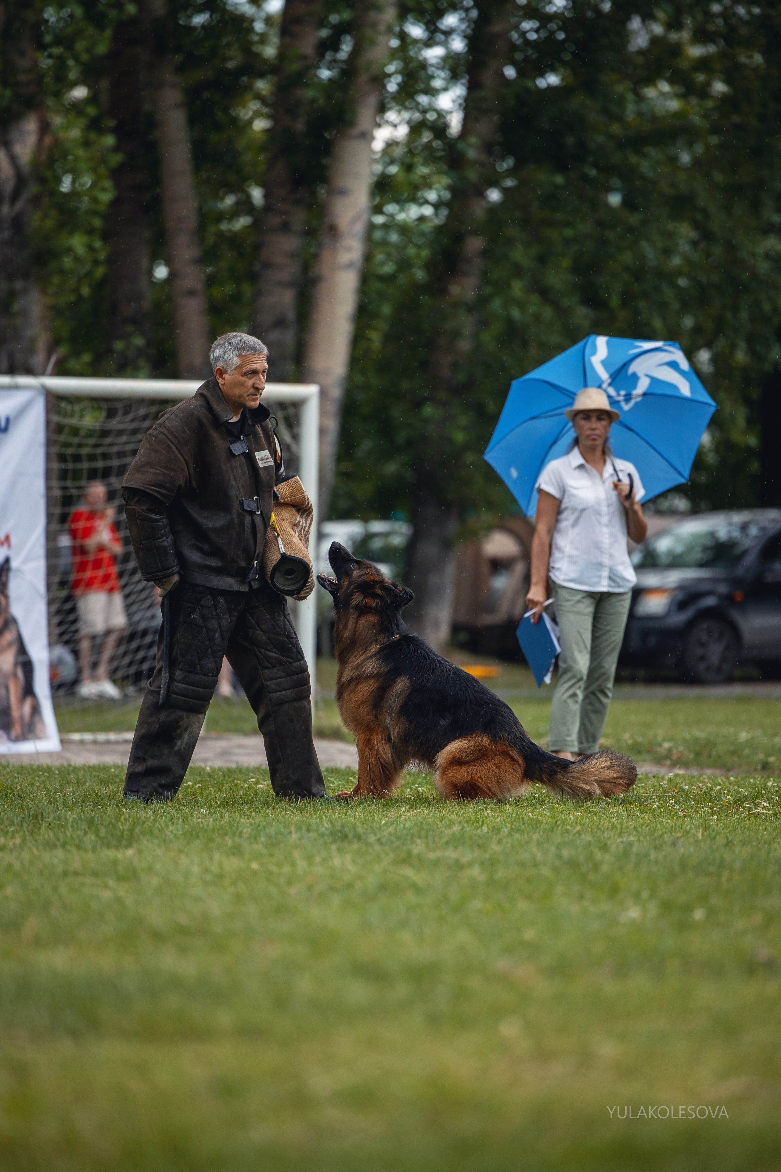 6.07.2024 Выставка немецких овчарок г. Тюмень. YULA KOLESOVA | Фотограф — Анималист | Художник | Тюмень
