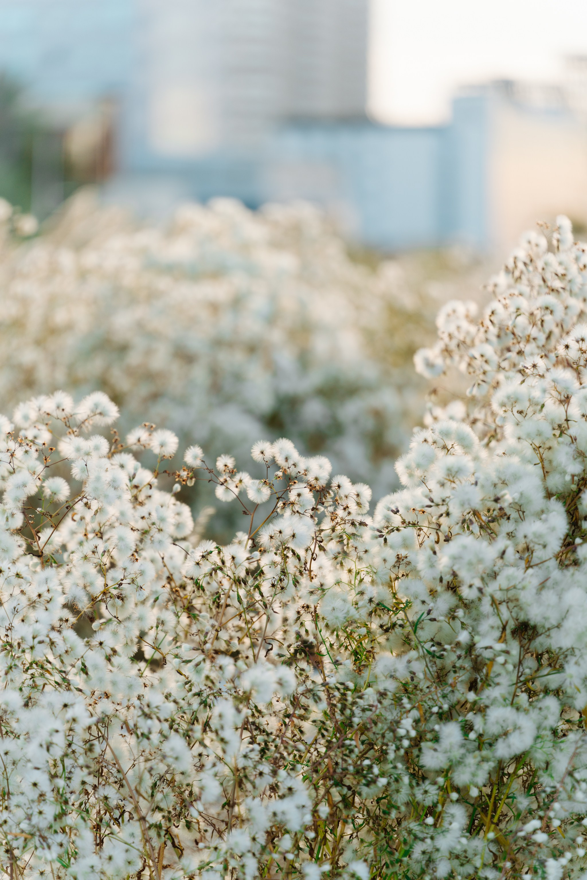 Актау, Ноябрь 2024