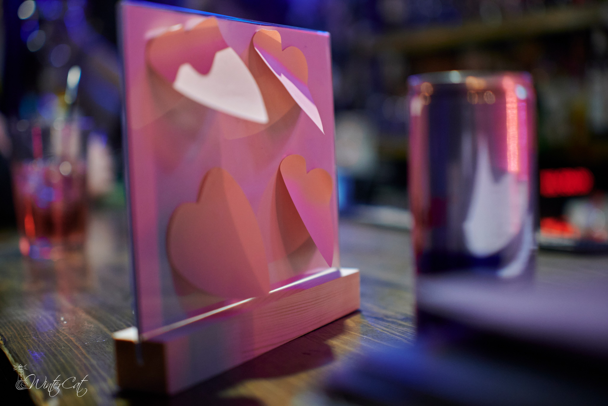 День Рождения Честер Четыре Года. Портретный и репортажный фотограф в Магадане Андрей Нефедов WinterCatPhoto