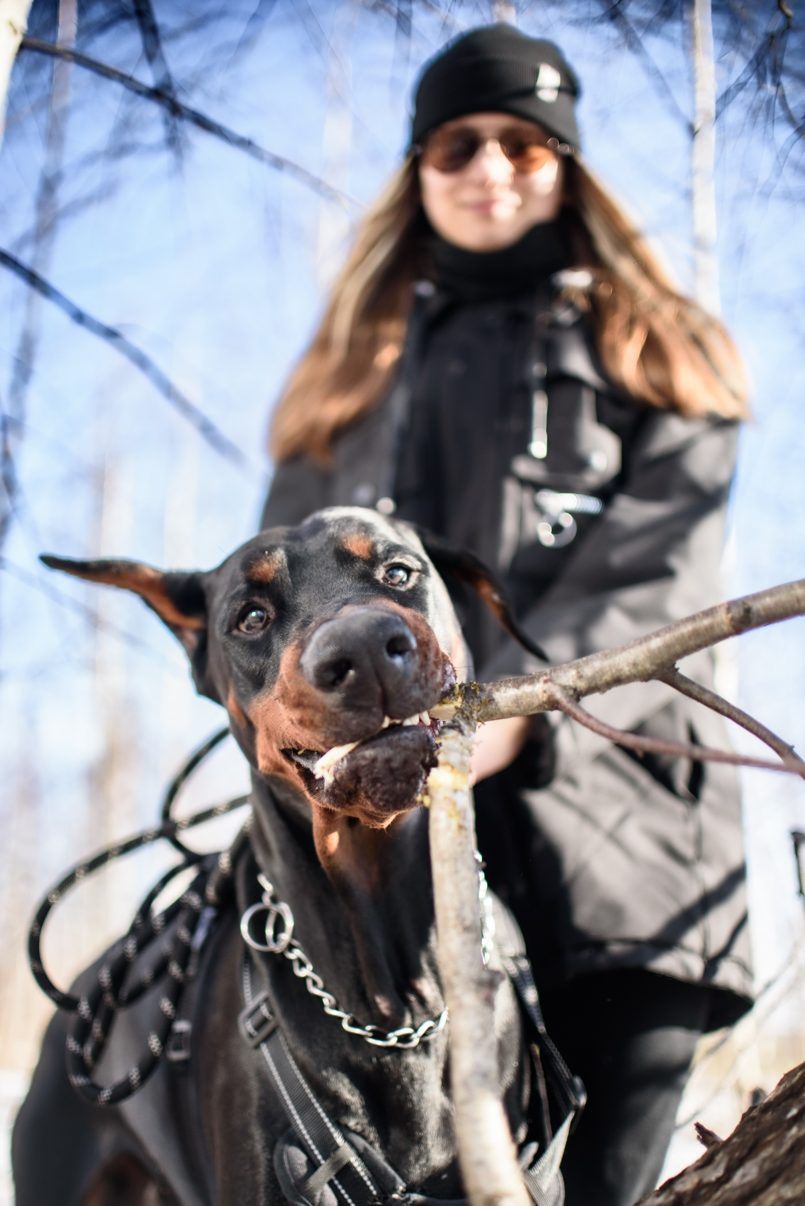 Фотосессию с любимчиком — доберманом. Фотограф Макс Огурцов в Нижнем Новгороде