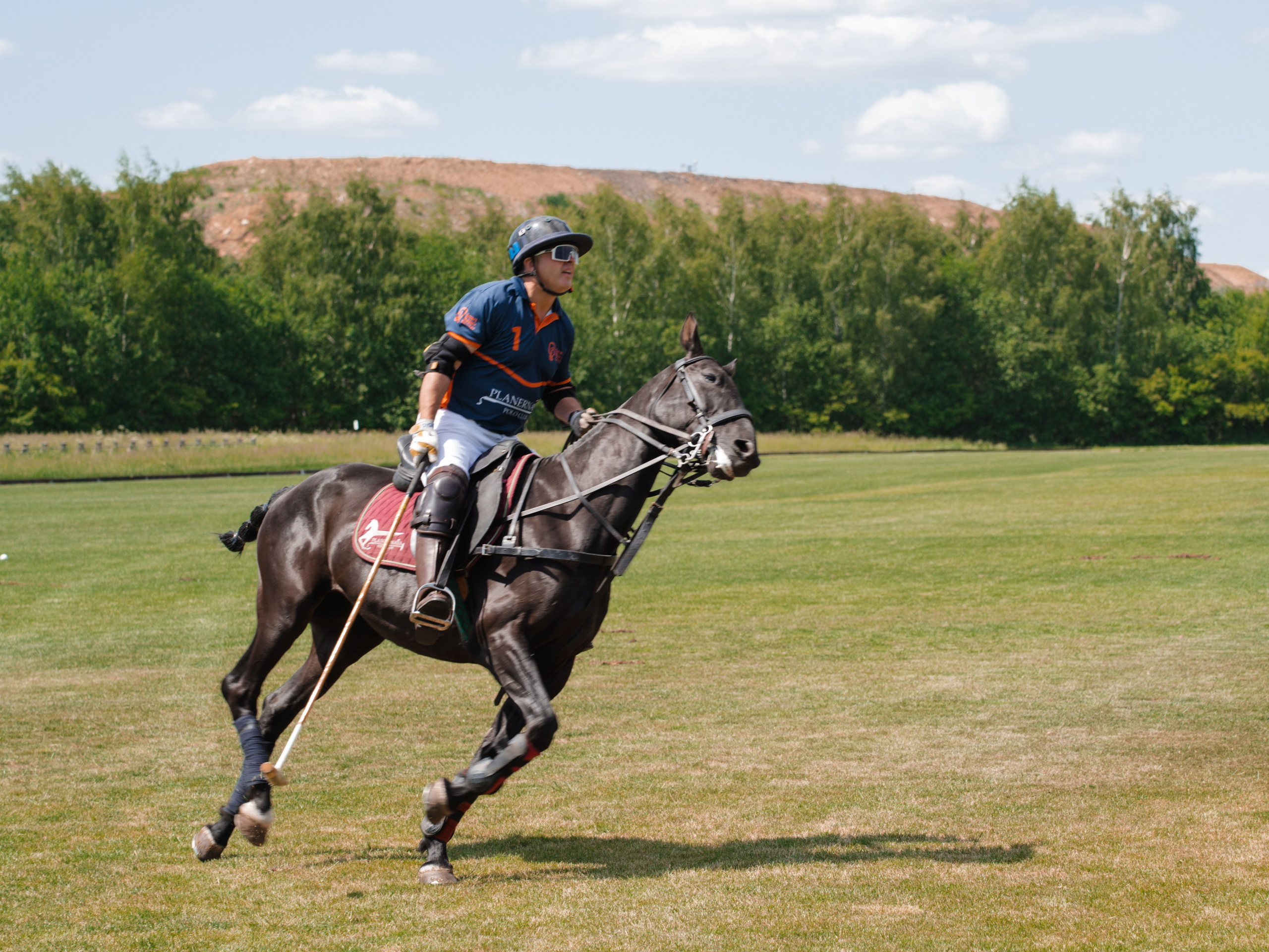 Конное поло. Фотограф Зинаида Евдокимова