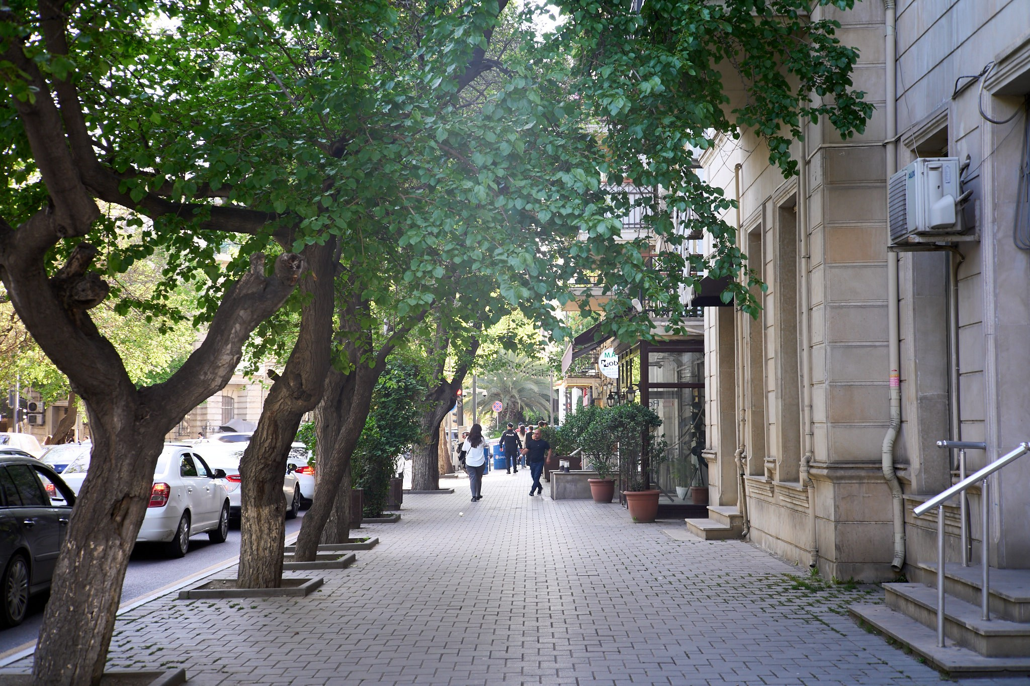 Баку, май 2025. Фотограф, Римма Невинская