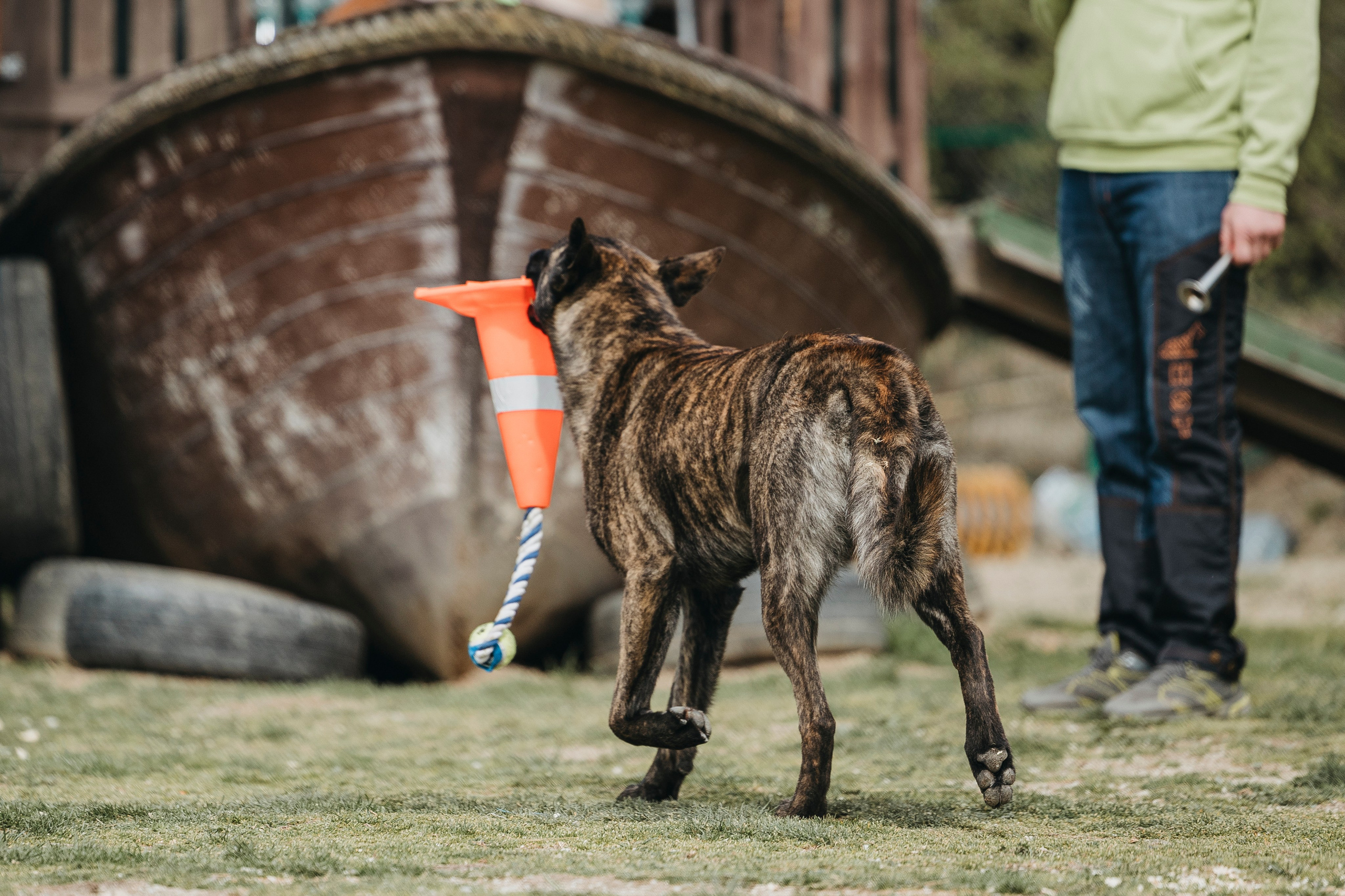 Геленджик Мондьоринг. Фотограф-анималист Анна Маринич