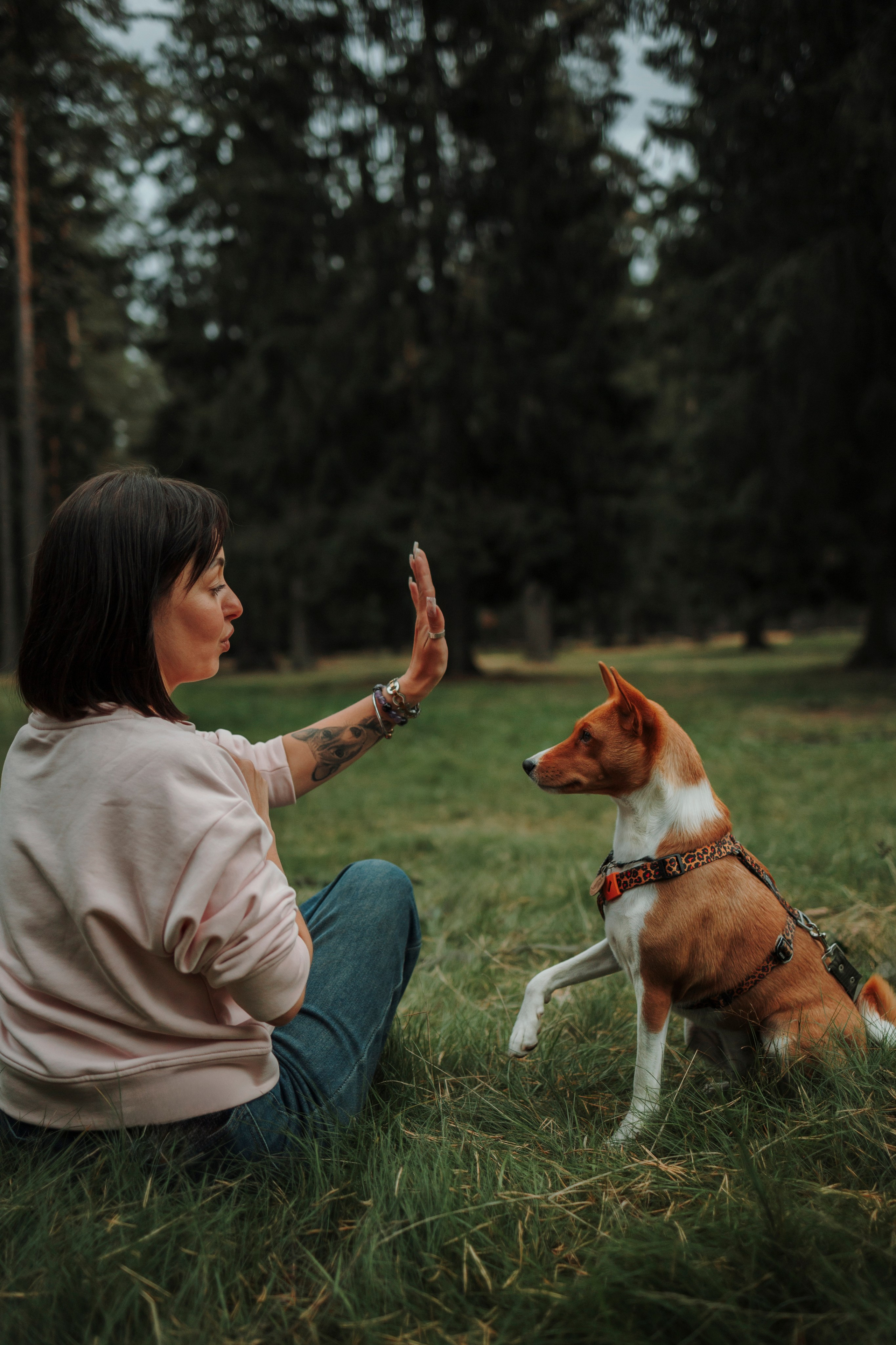 Даша и Лора. Фотограф-анималист в Санкт-Петеребурге Титова Алиса