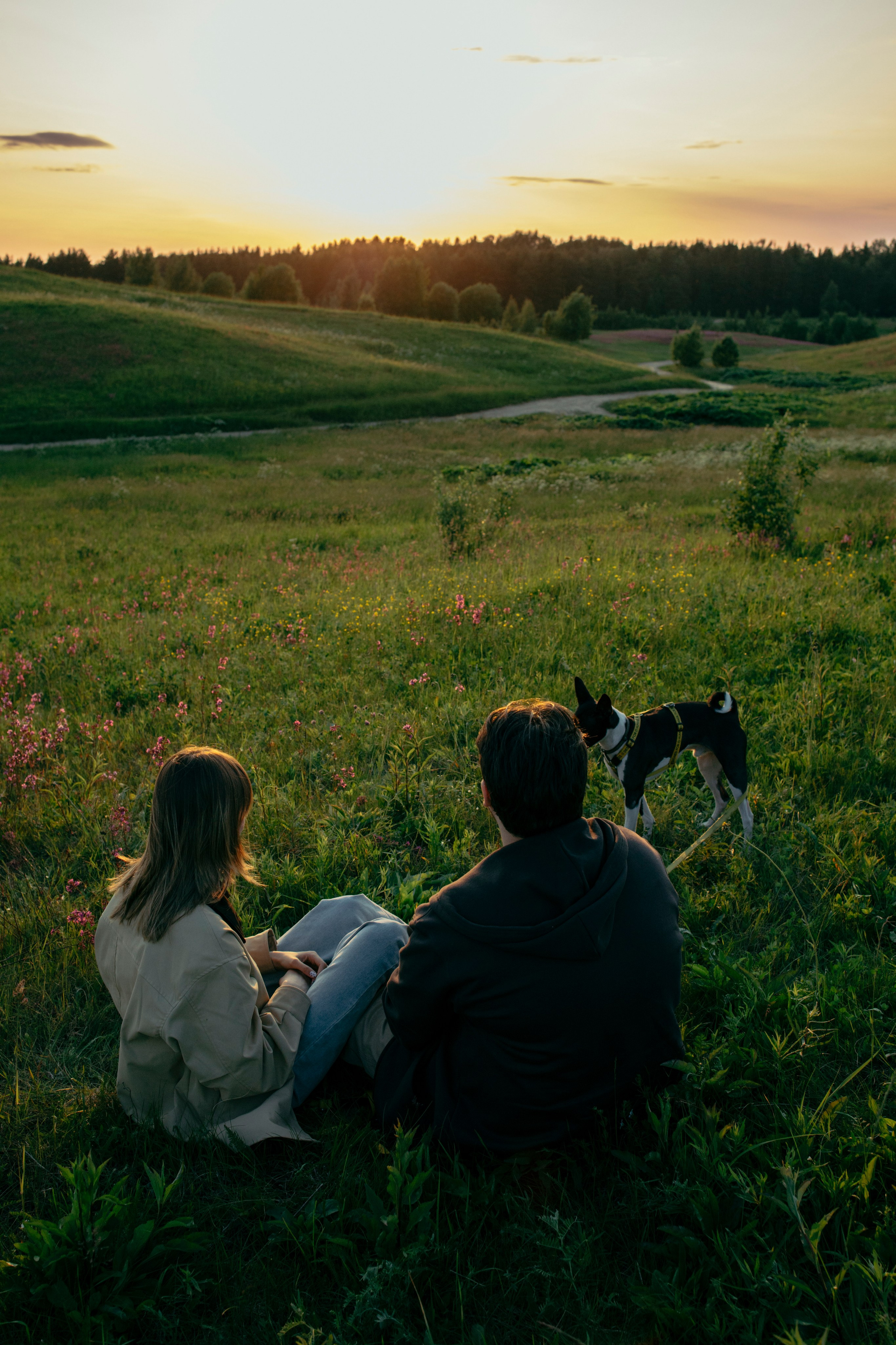 Итачи и его семья 🐾. Фотограф-анималист в Санкт-Петеребурге Титова Алиса