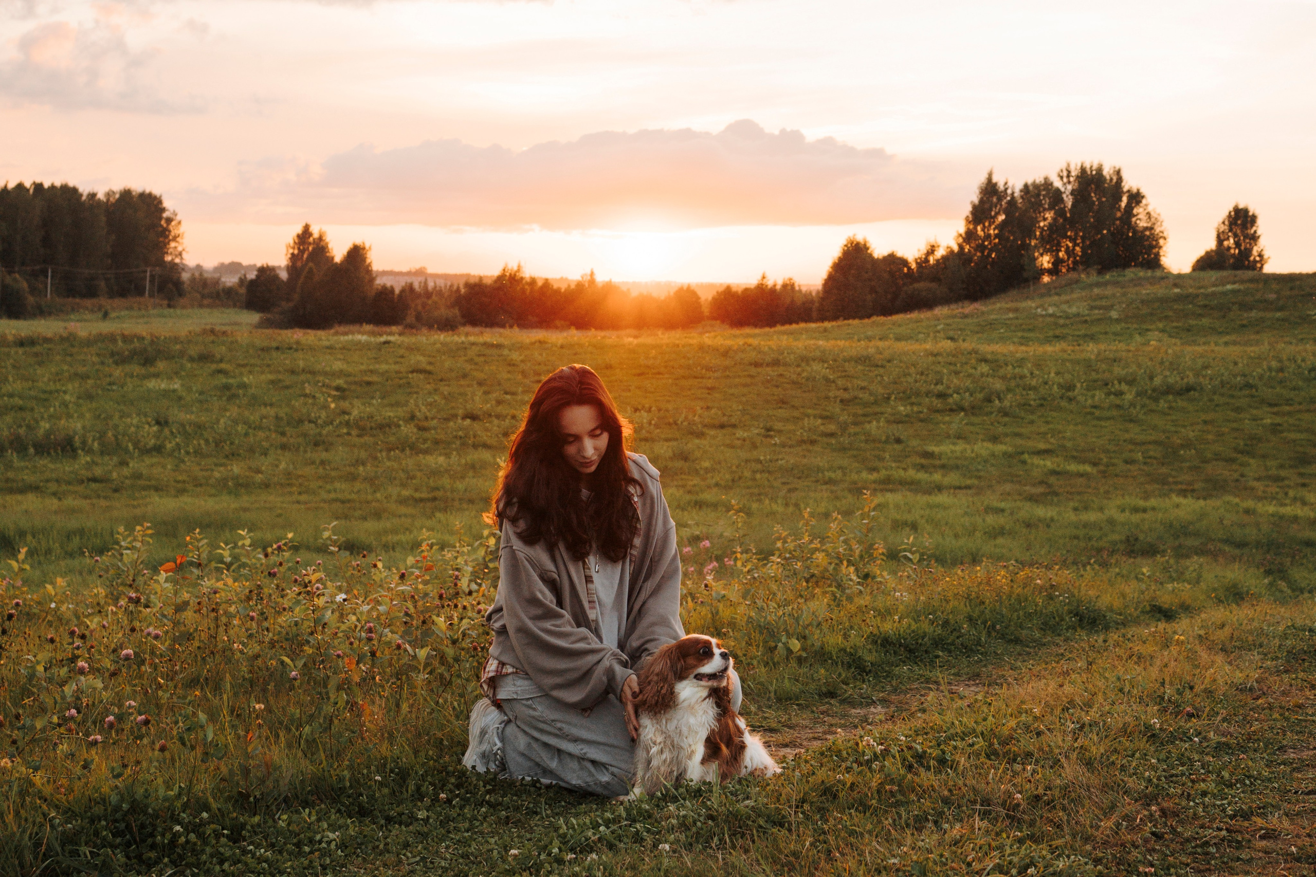 На закате Катерина, Луна и Рикки. Фотограф-анималист в Санкт-Петеребурге Титова Алиса