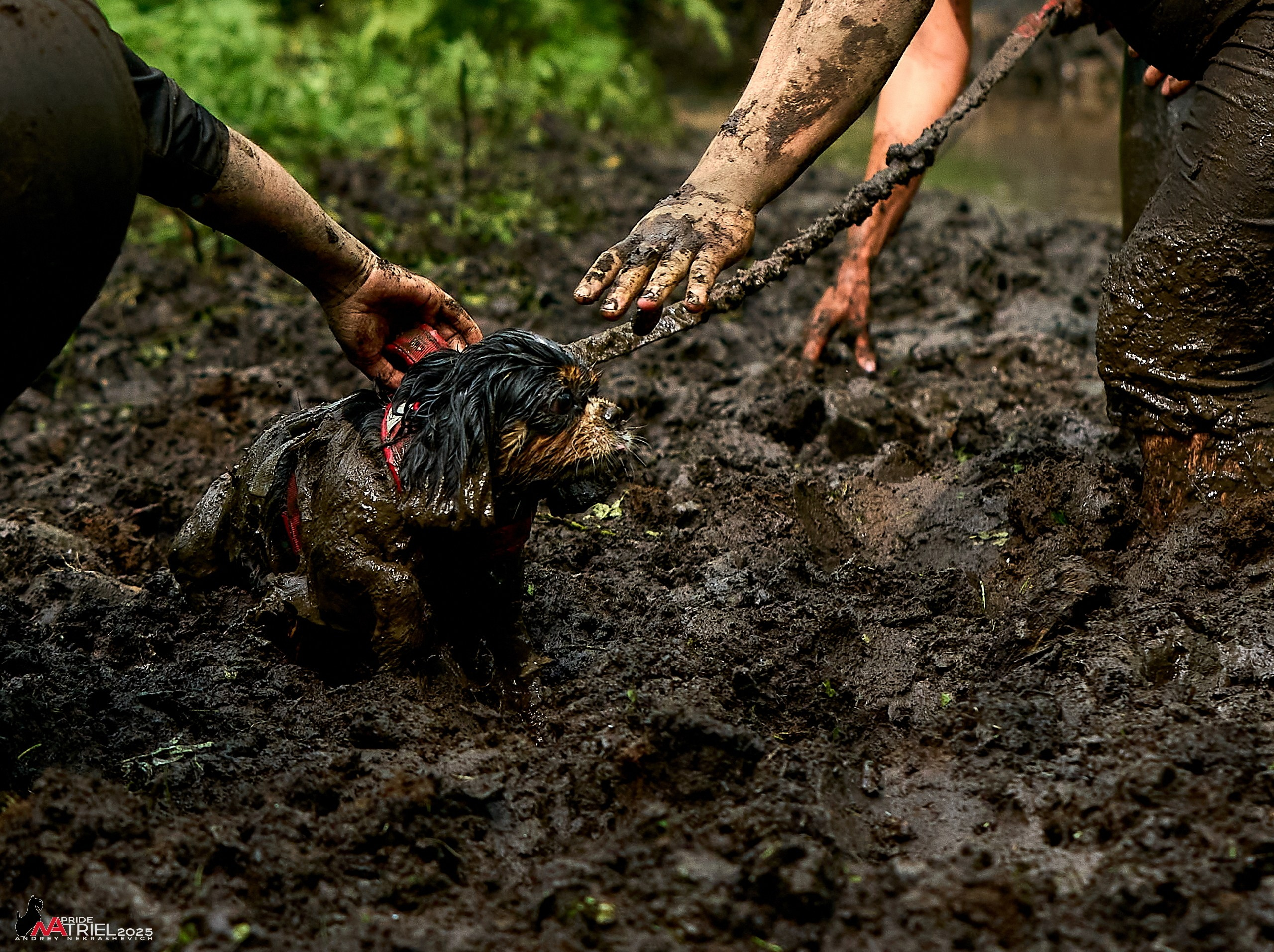 Russian Extreme Dog Trail — 2025