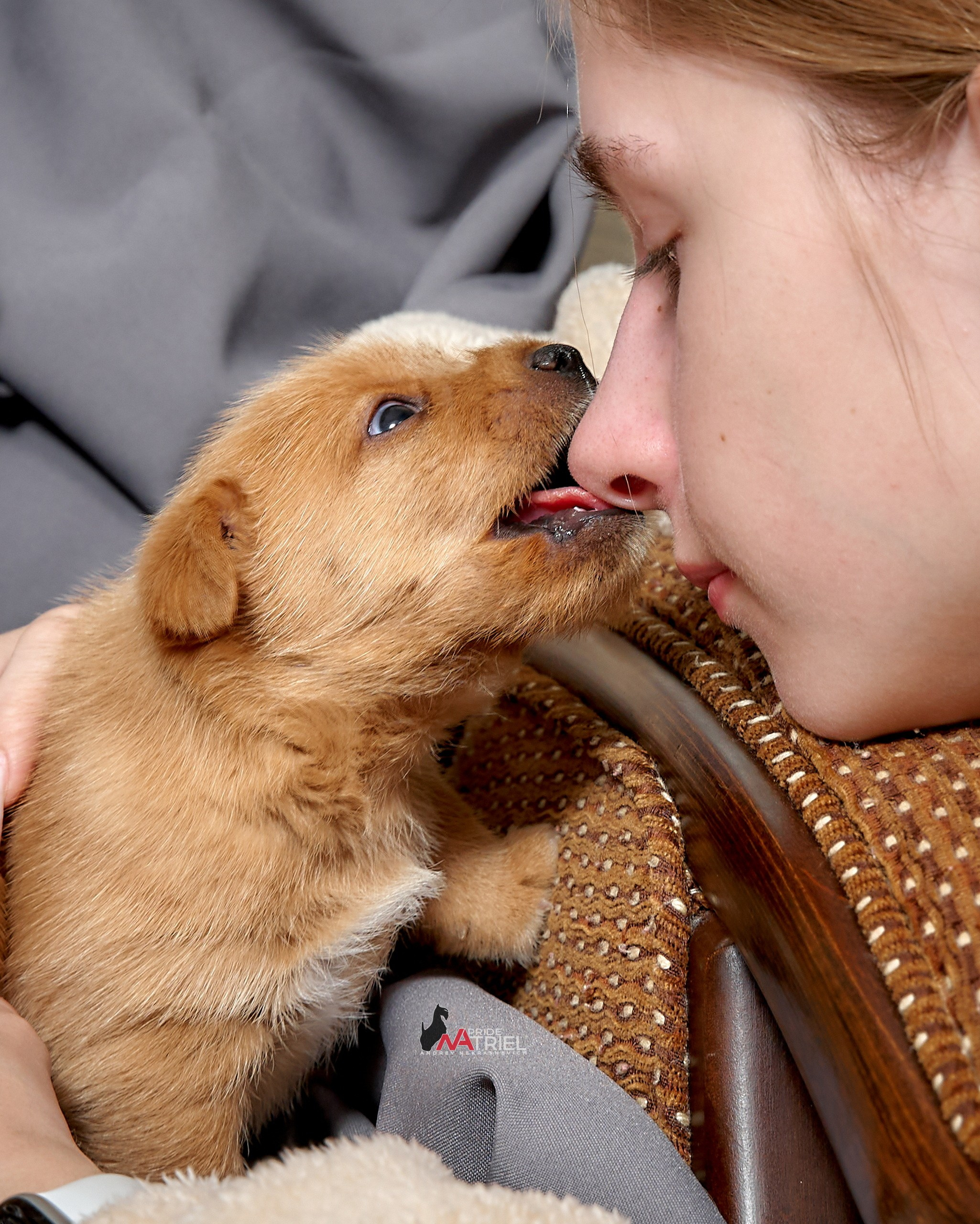 Щенки с людьми — галерея NATRIEL