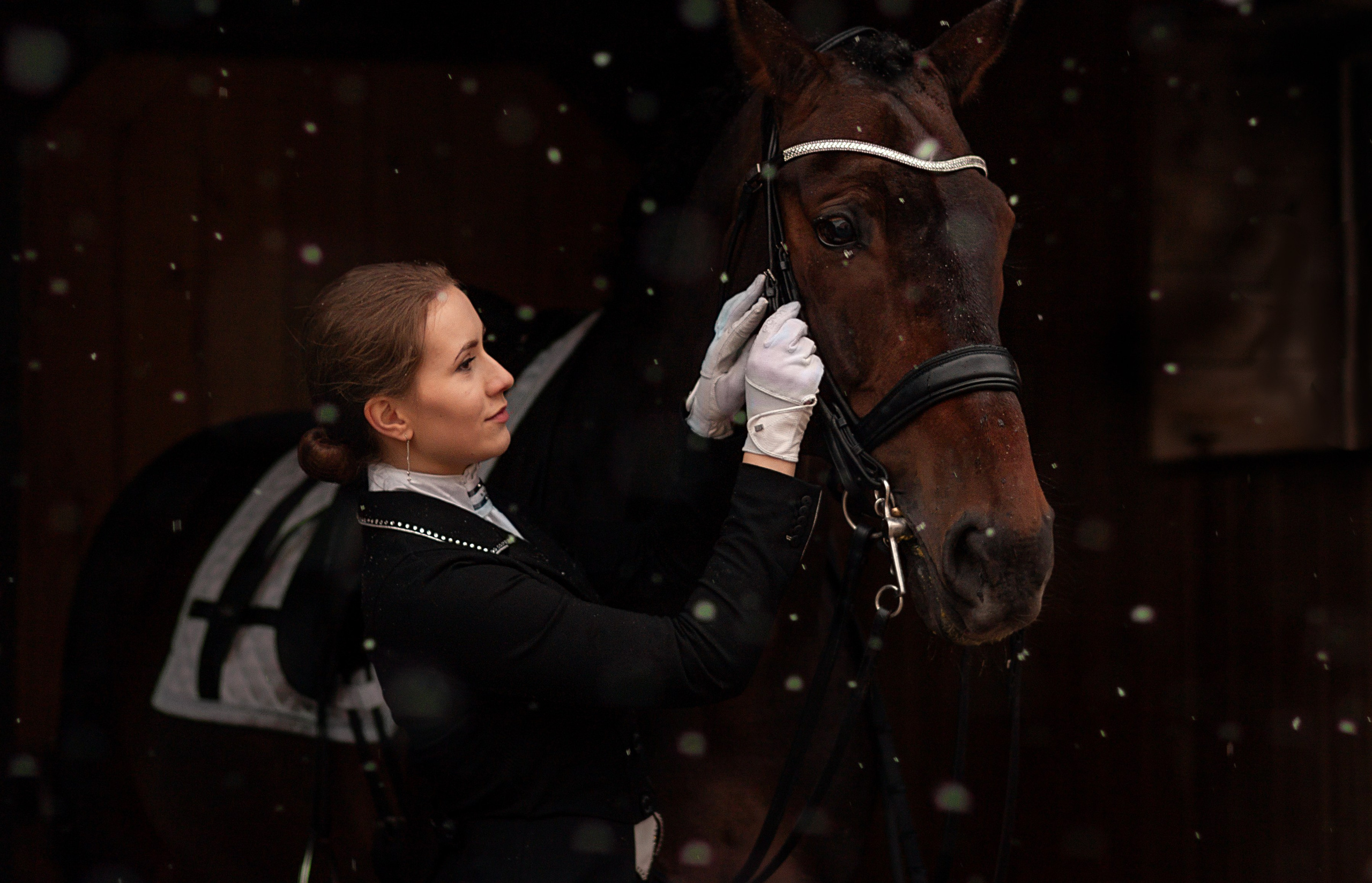 Фотосессии с лошадьми. Фотосессии с лошадьми в Москве от Конный фотографа Кутейниковой Светланы