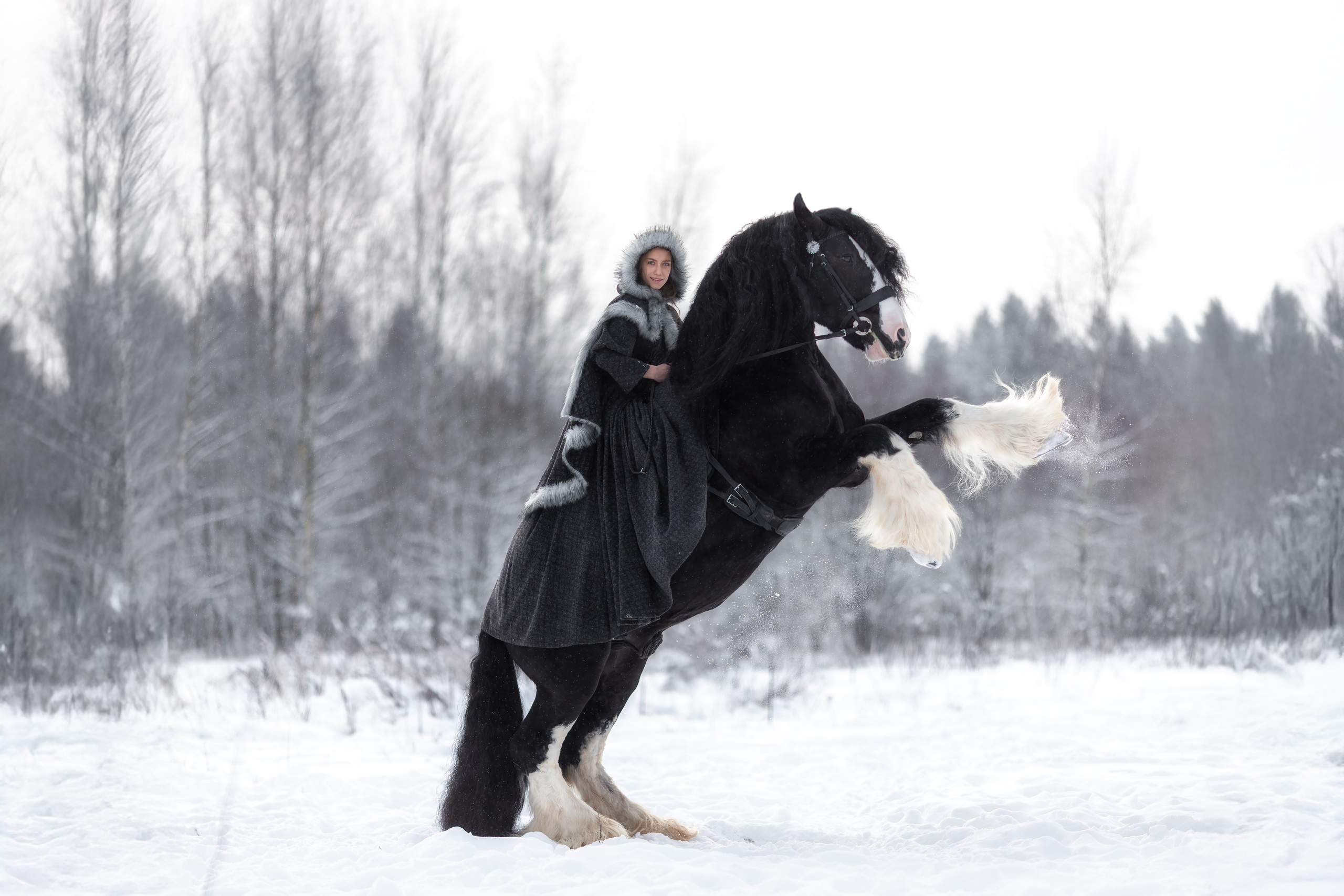 Фотосессии с лошадьми в Москве от фотографа Кутейниковой Светланы