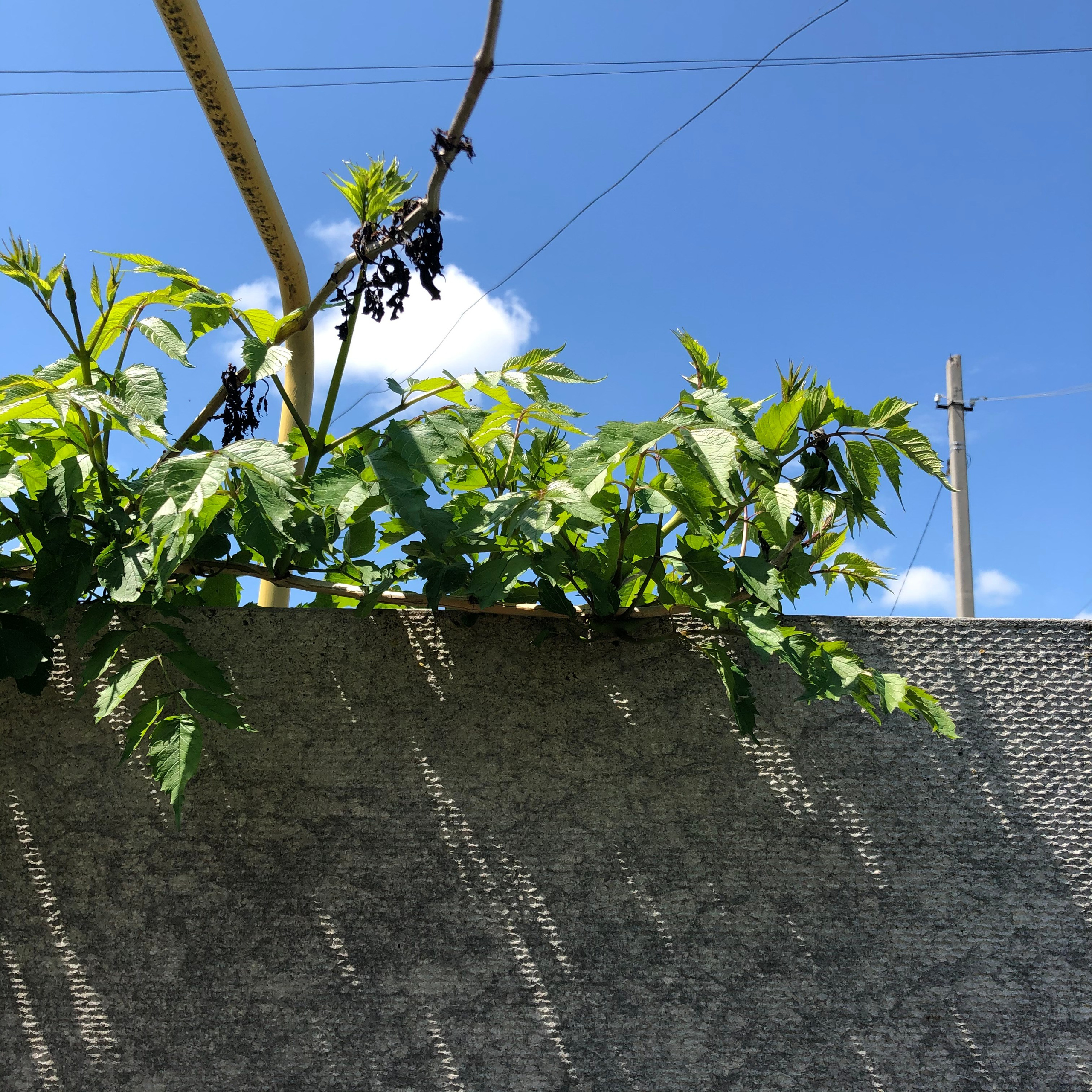 Визуальный дневник. Портретный фотограф в Москве Гахраманова Екатерина
