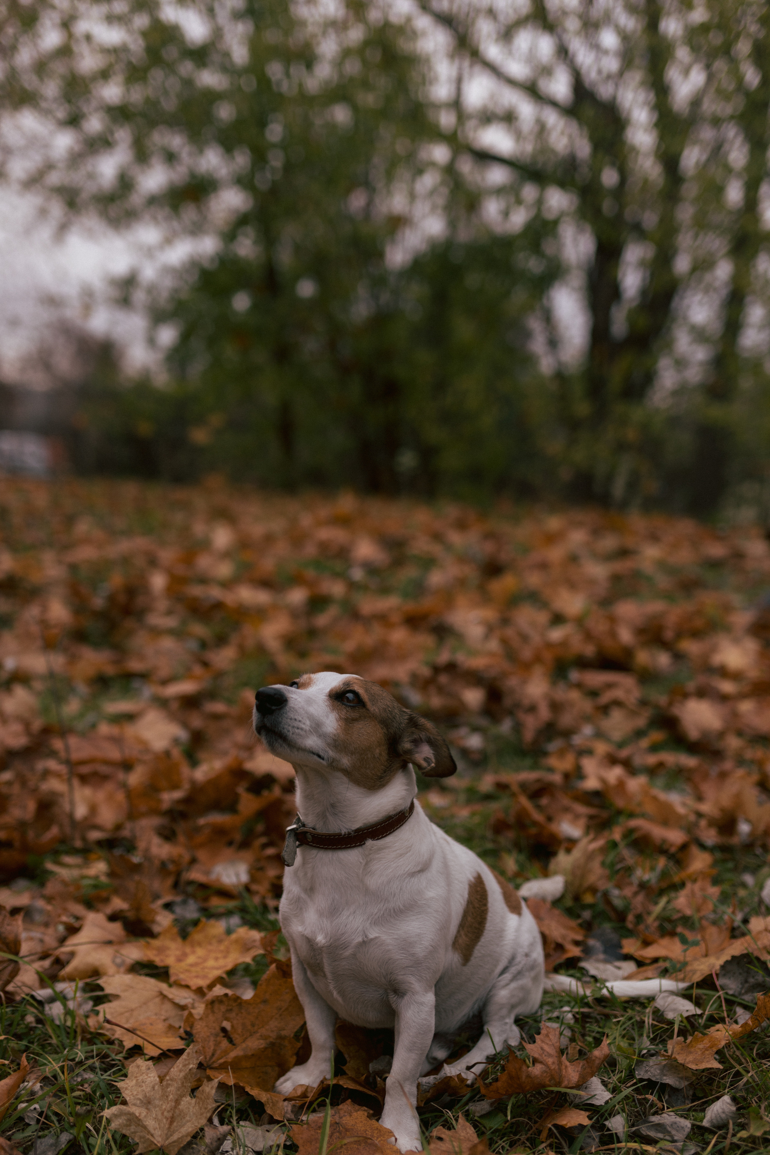 Ангелина и Саша. Фотограф в Москве и Серпухове Анастасия Руднева