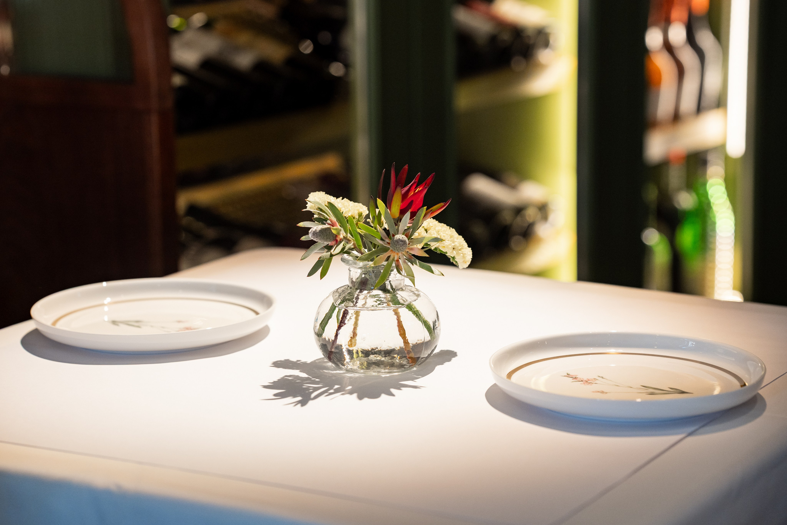 Le Pigeon — Русские сезоны и Балет «Дягилев». Фотограф Никита Комаров